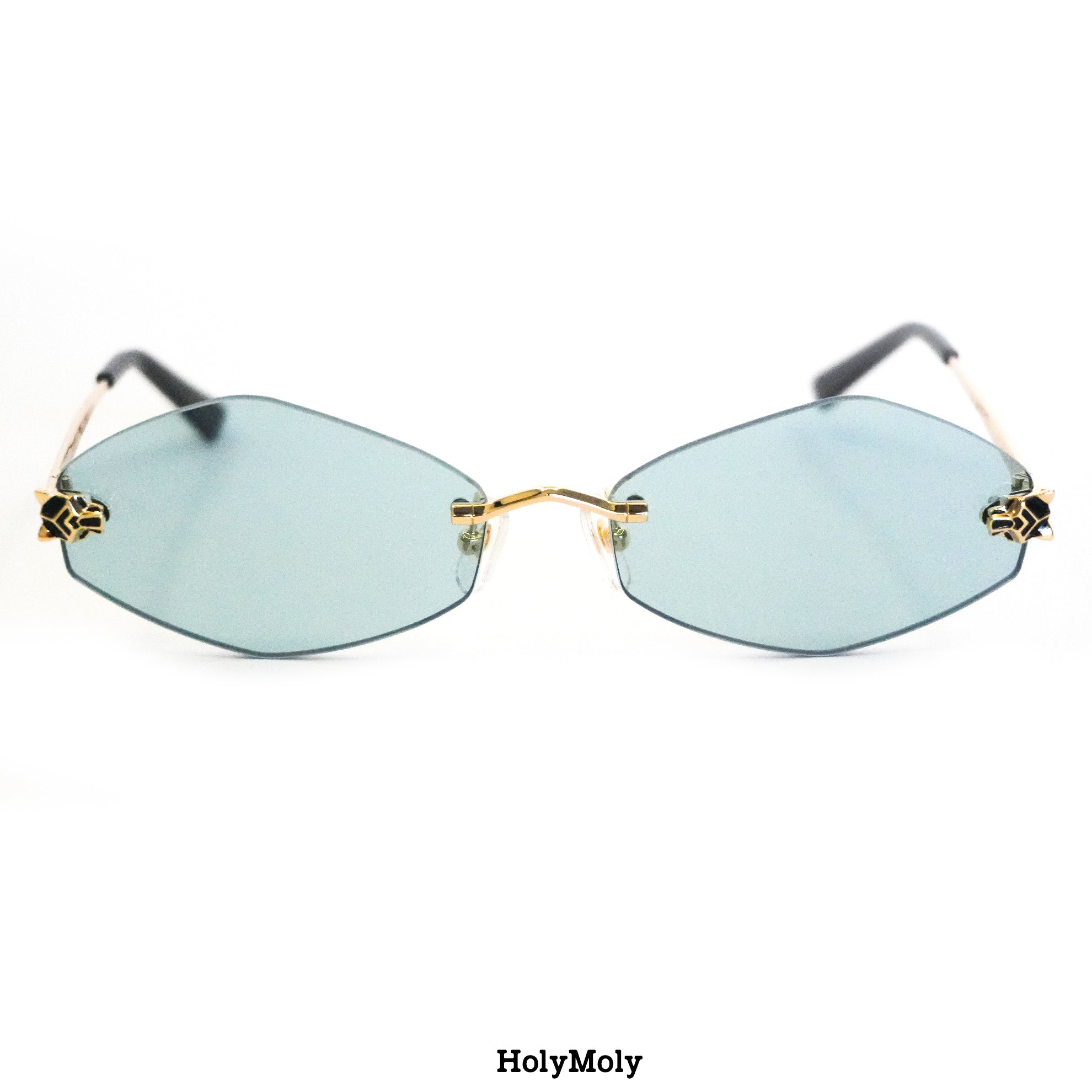 Cartier CT0433S Sunglasses