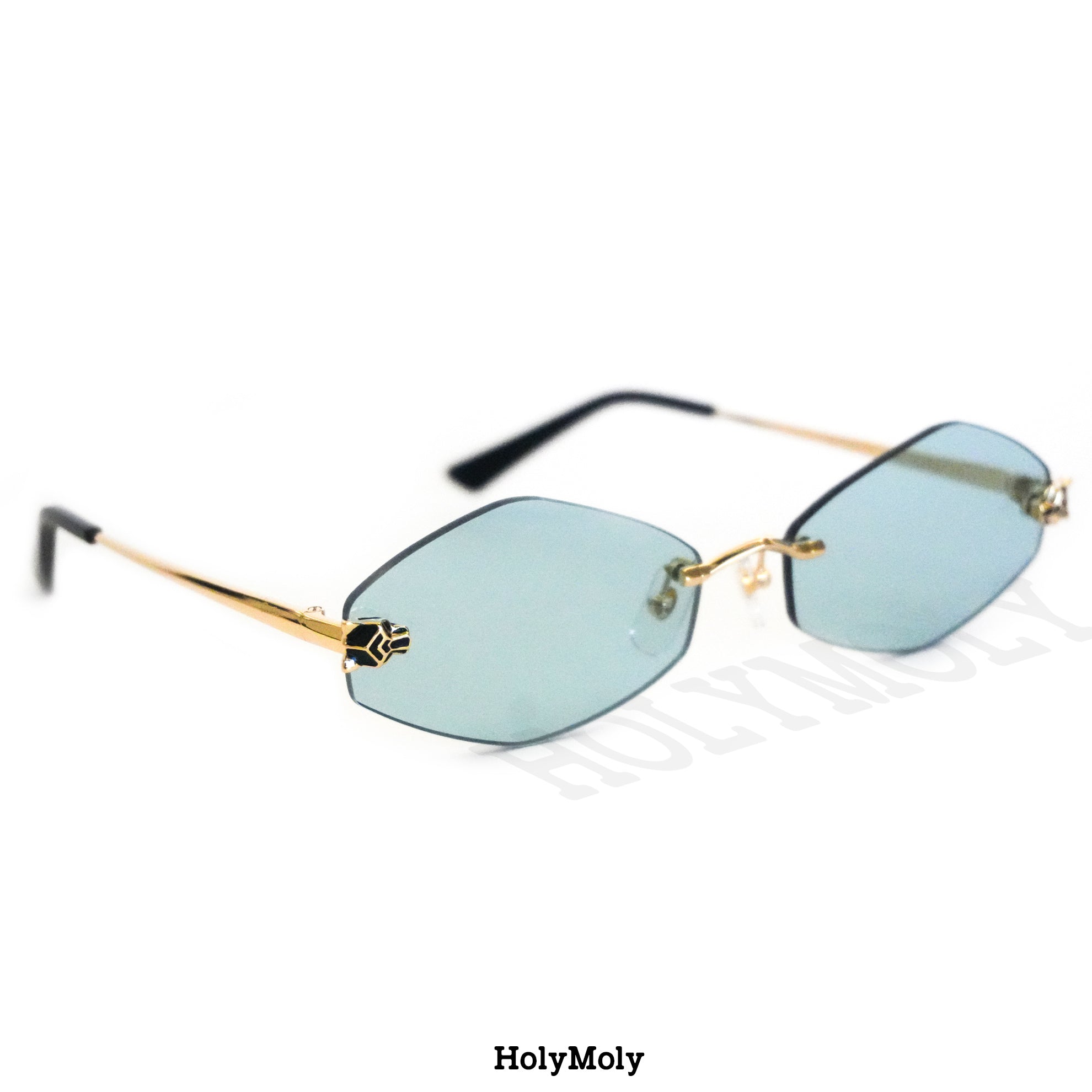 Cartier CT0433S Sunglasses
