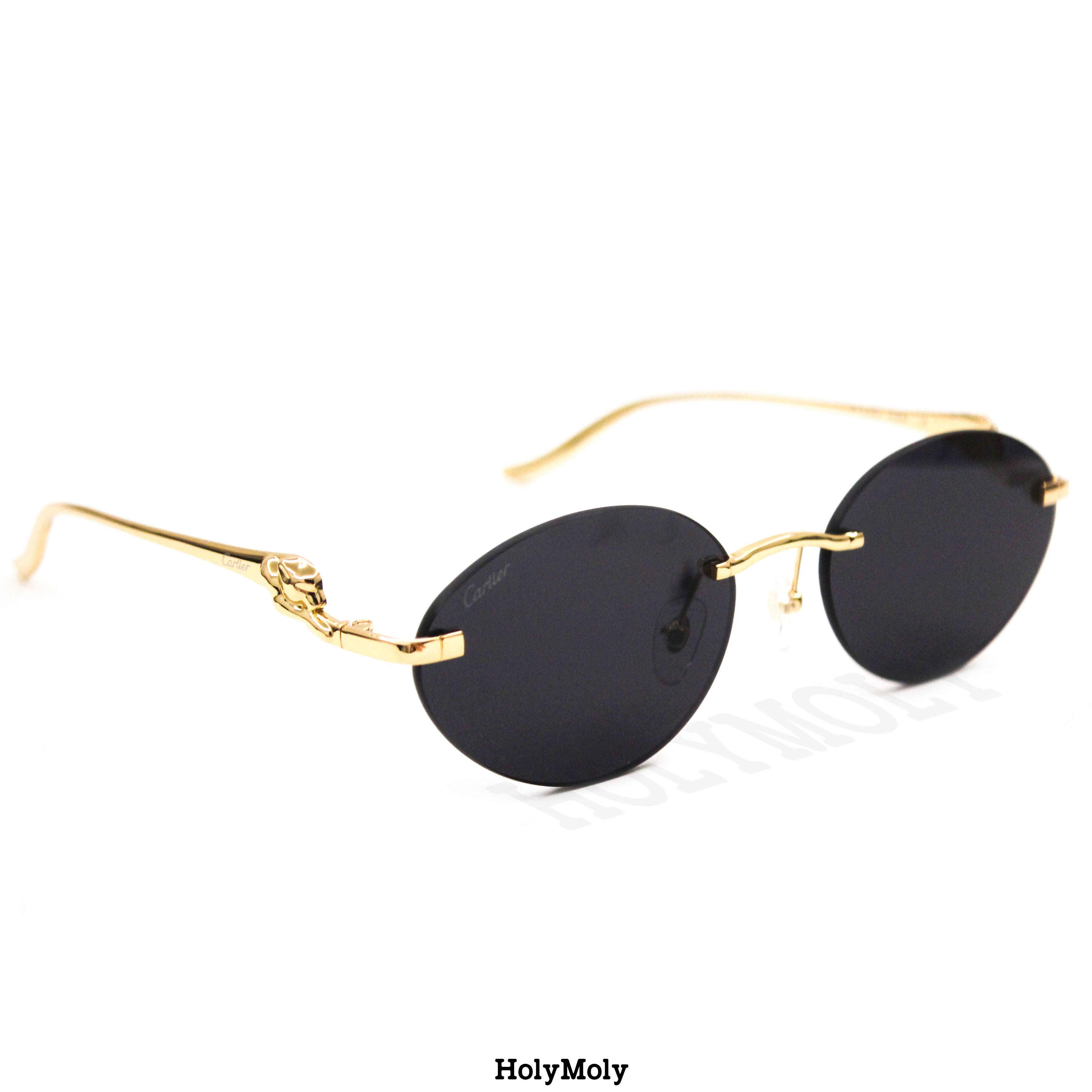 Cartier CT0504S Sunglasses