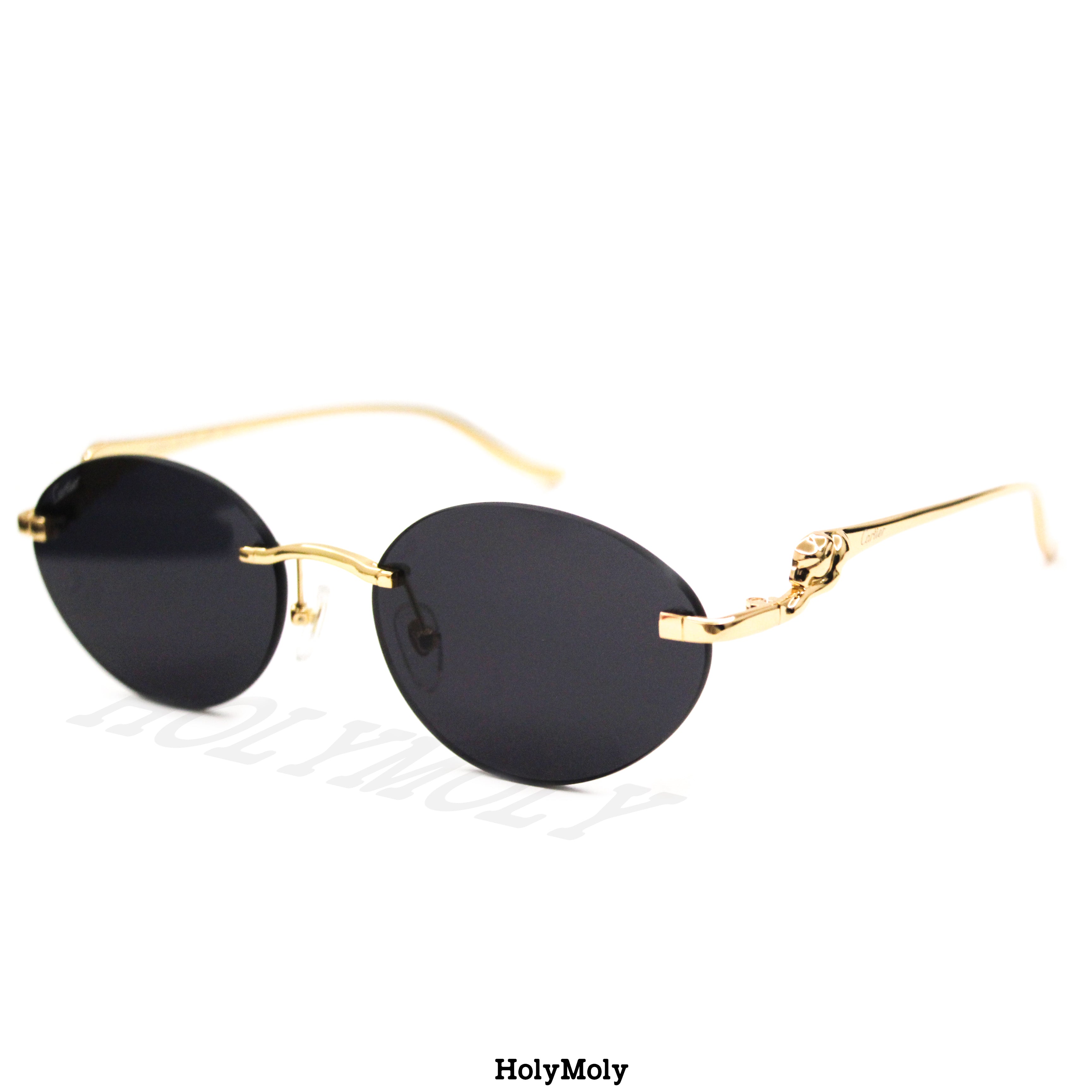 Cartier CT0504S Sunglasses