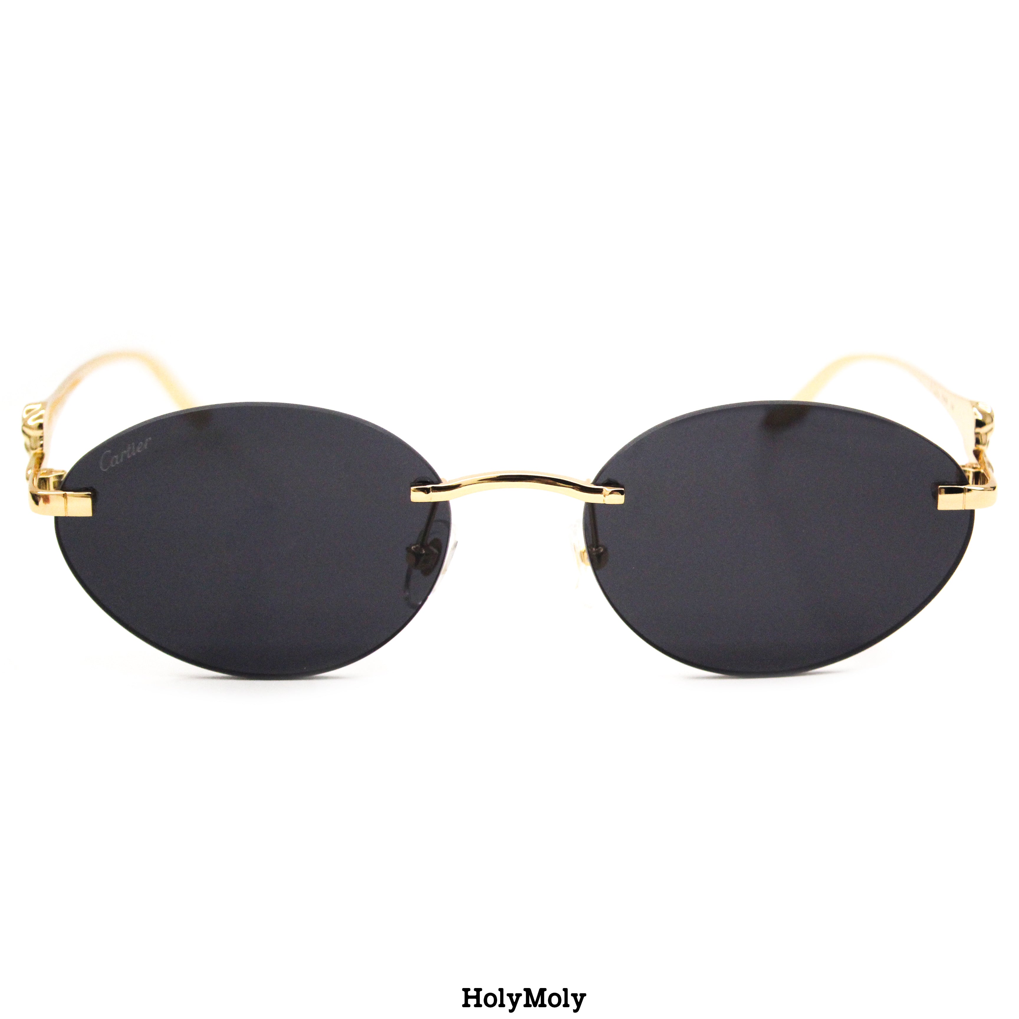 Cartier CT0504S Sunglasses