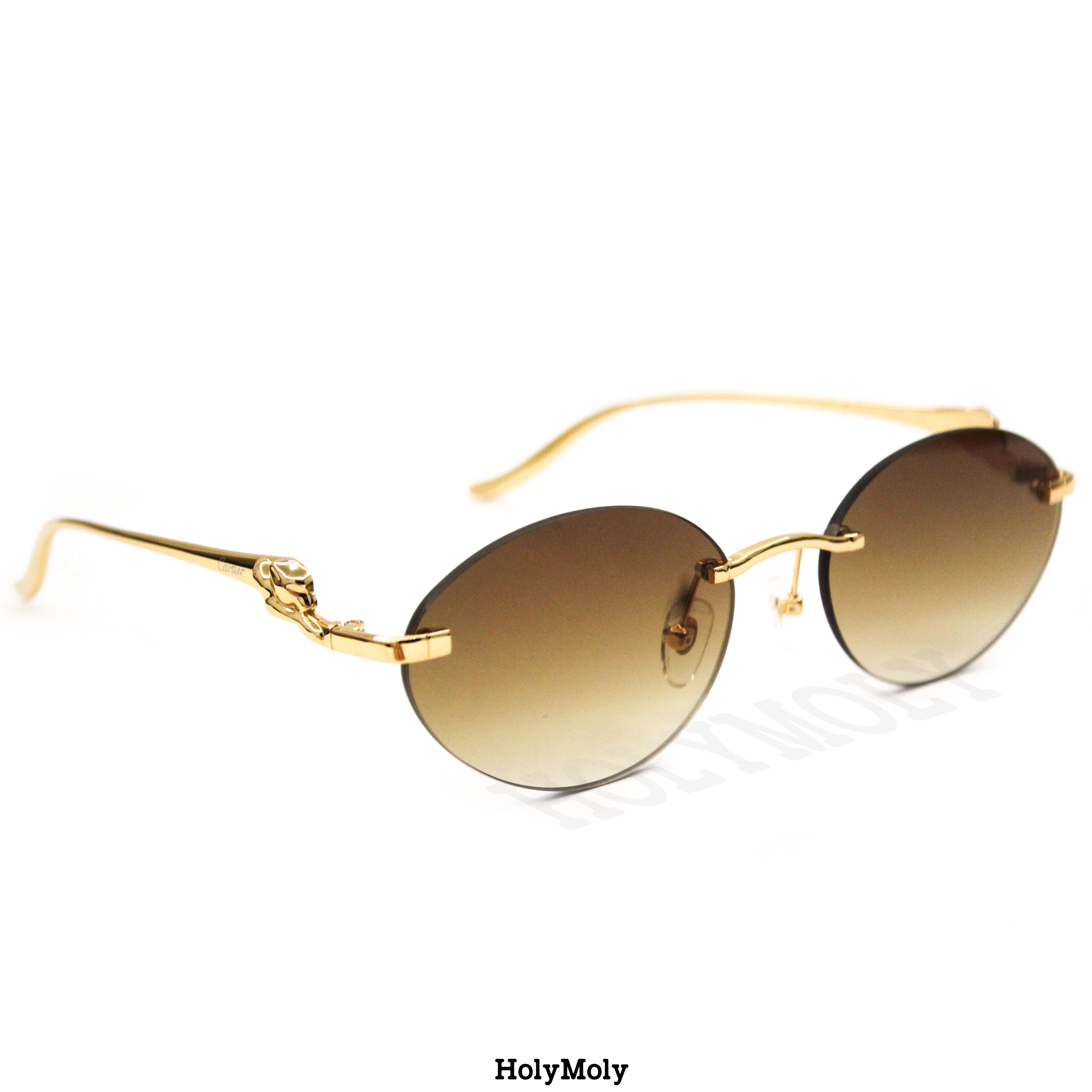 Cartier CT0504S Sunglasses