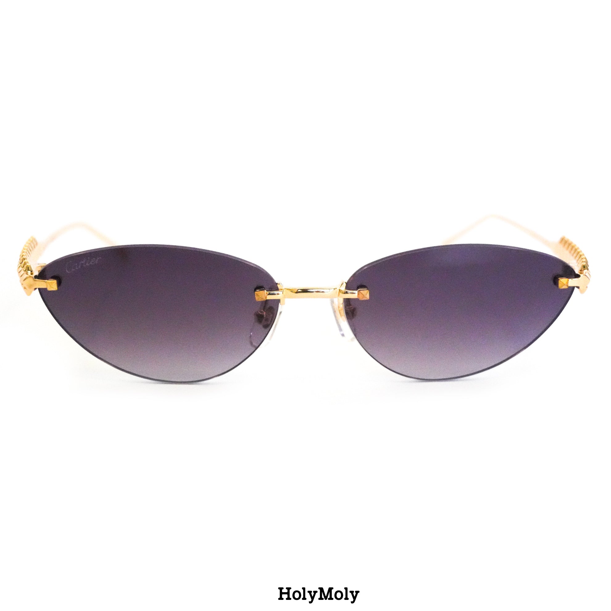 Cartier CT0543S Sunglasses