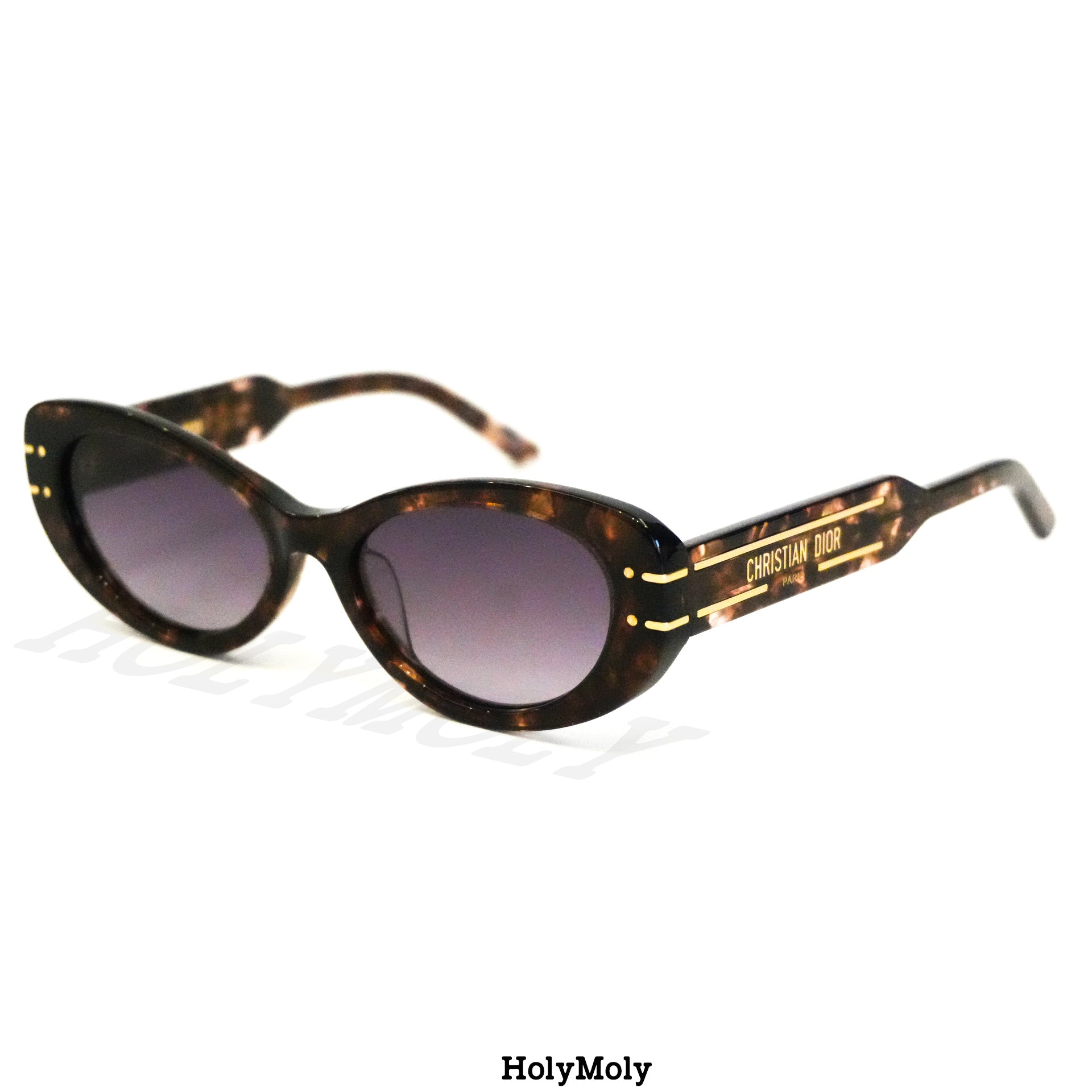Dior Signature B8U Sunglasses