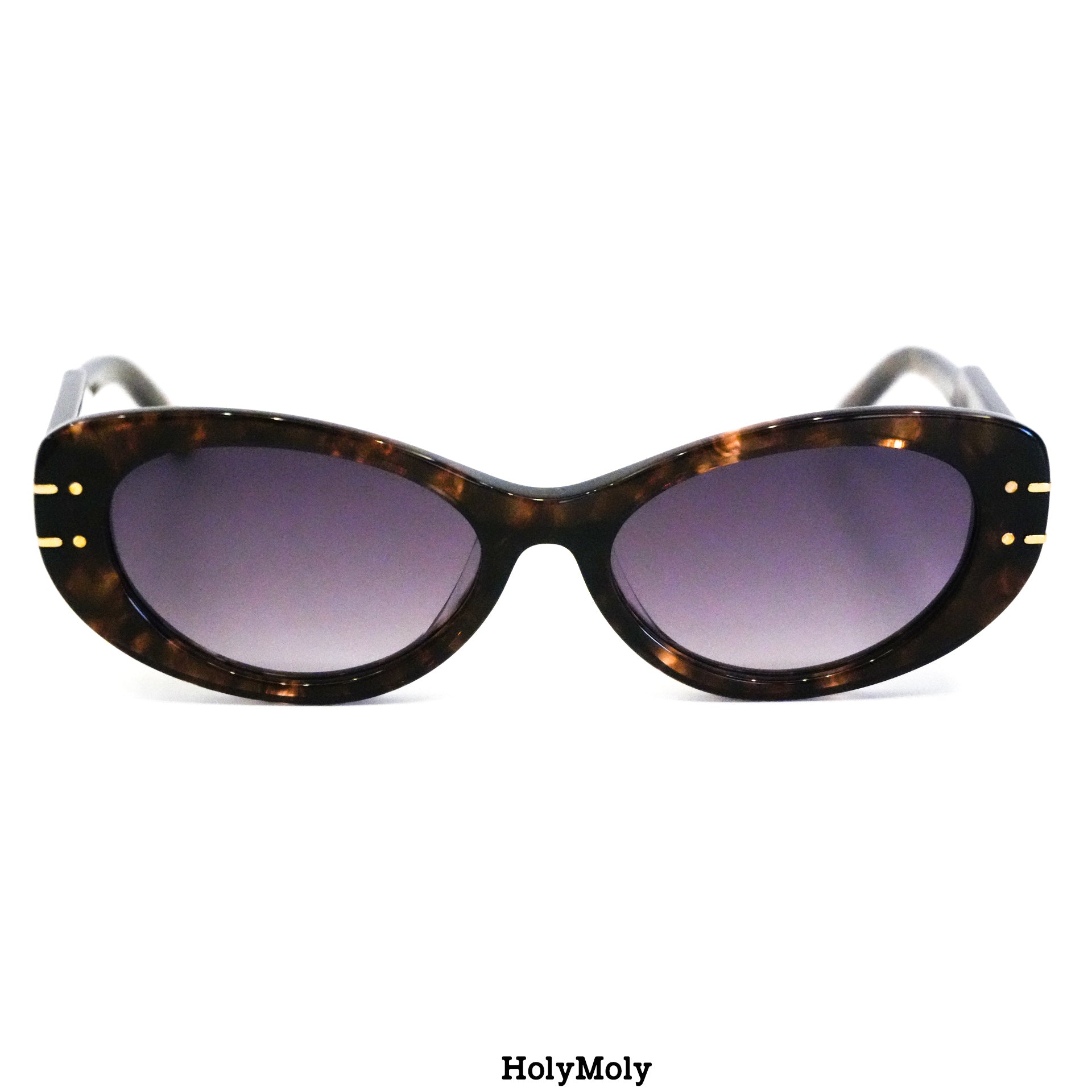 Dior Signature B8U Sunglasses