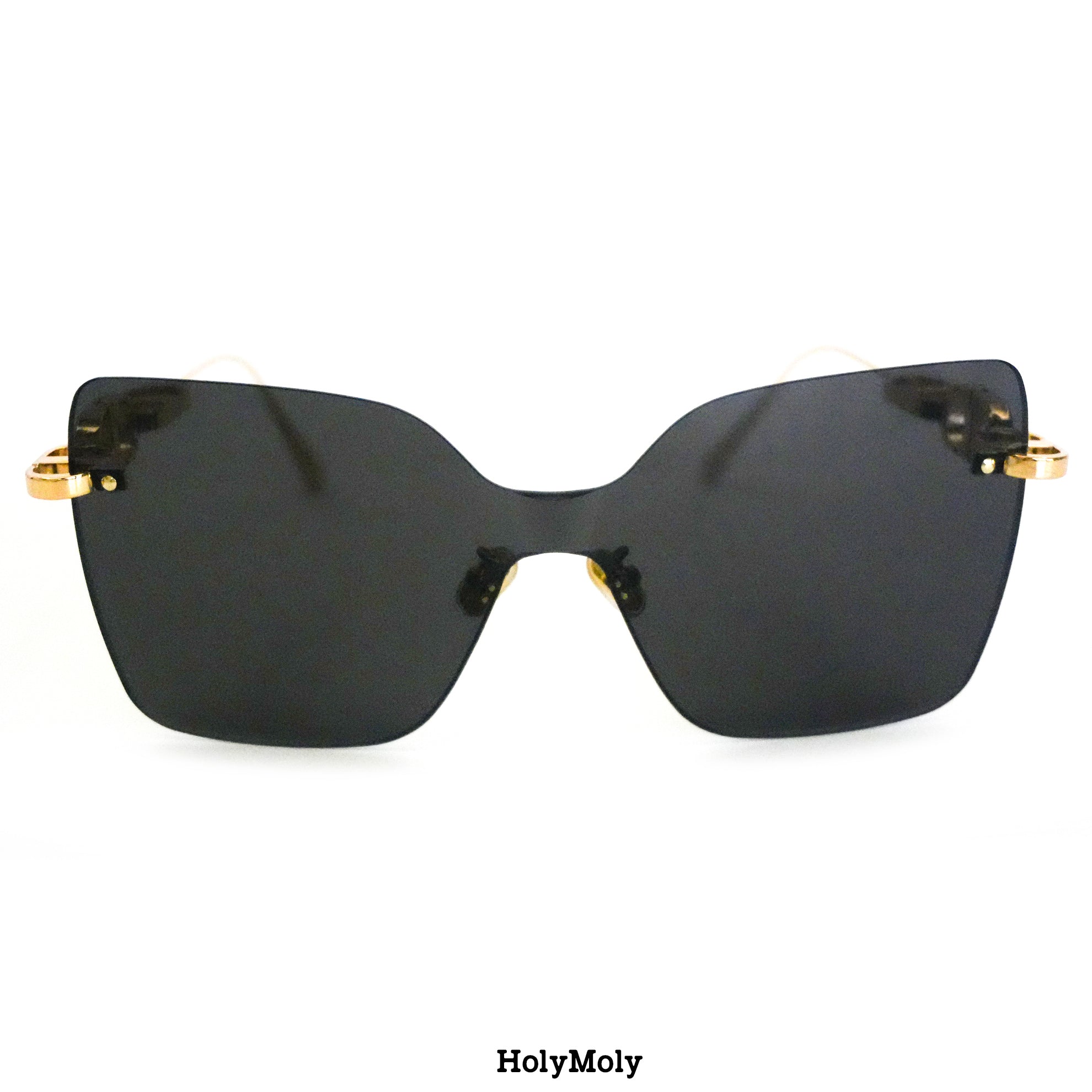 Dior CD Chain M1U Sunglasses