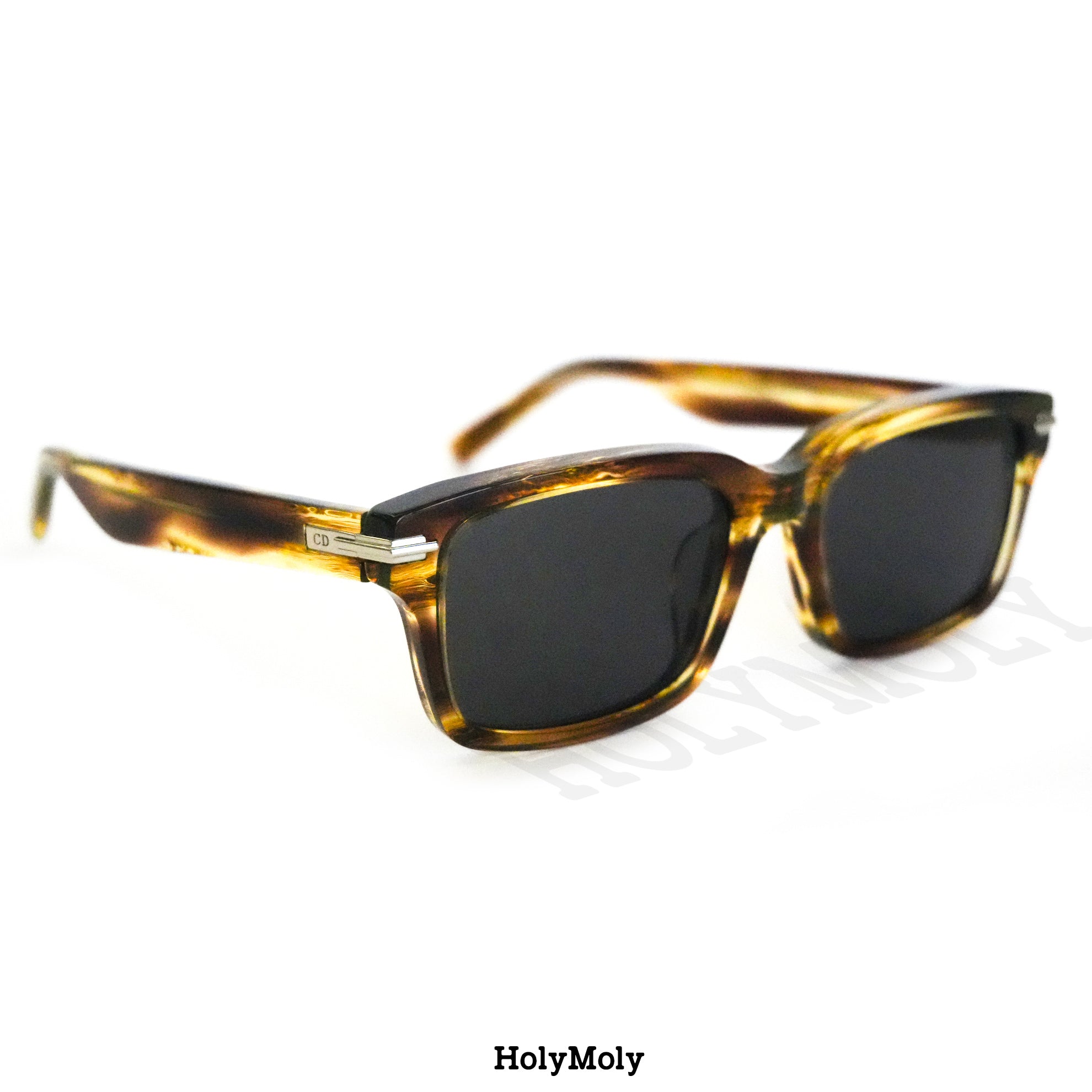 DiorBlackSuit S16F Sunglasses