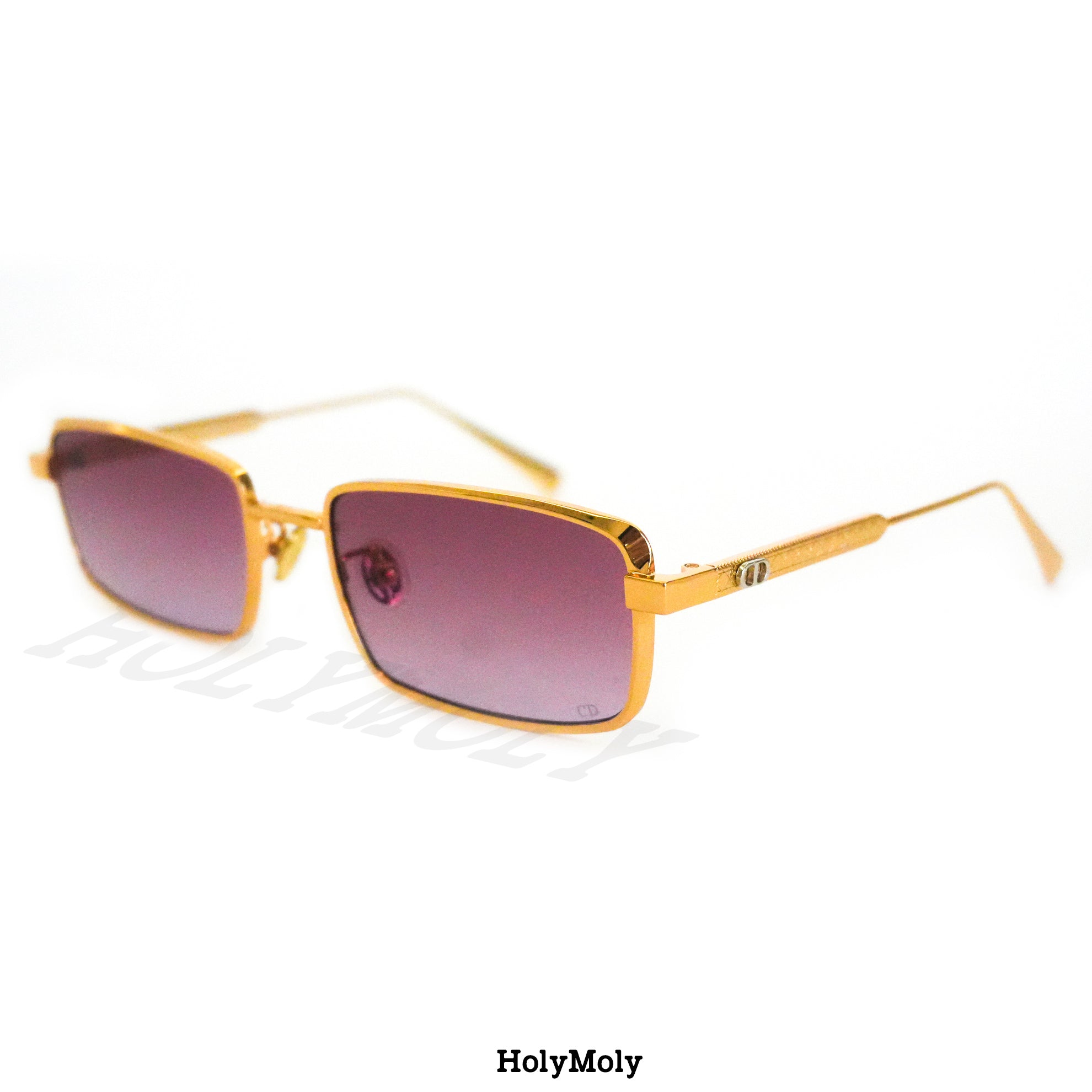 Dior Cannes S2U Sunglasses