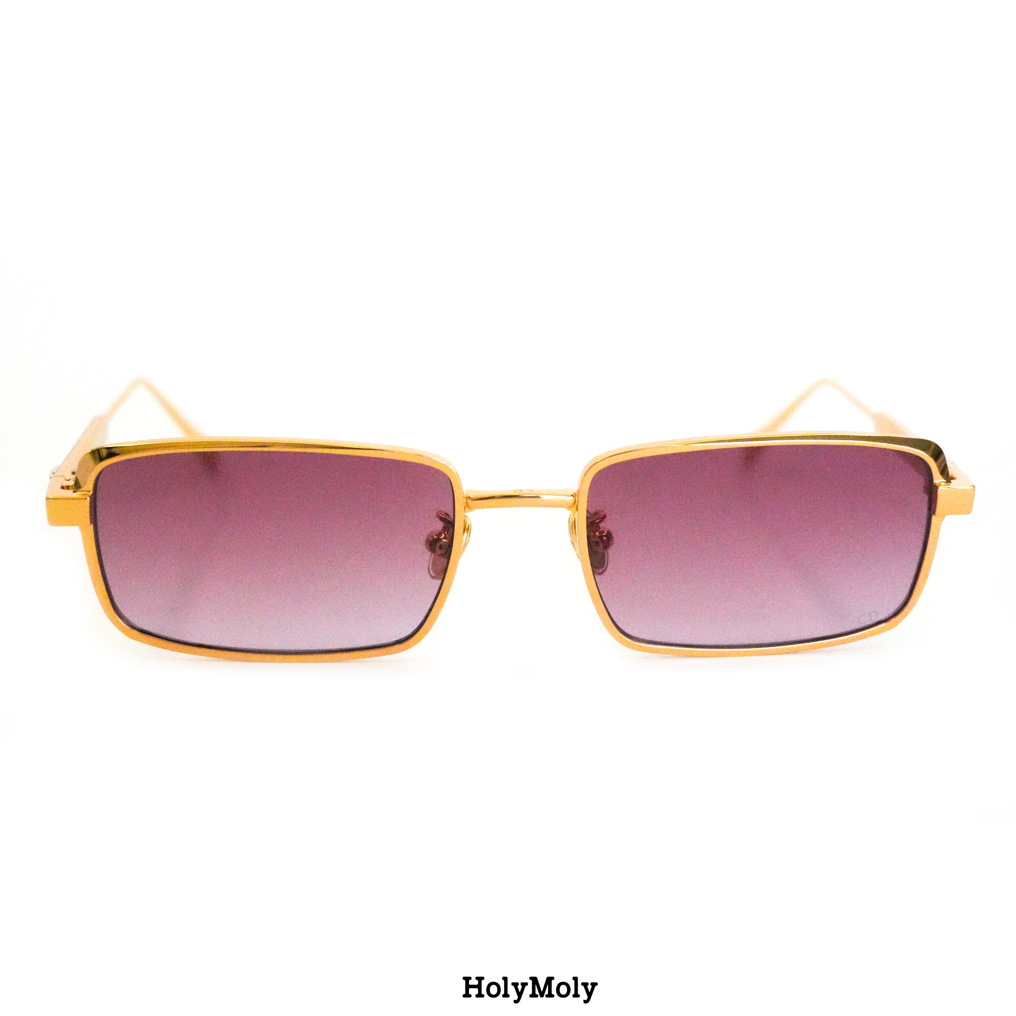 Dior Cannes S2U Sunglasses