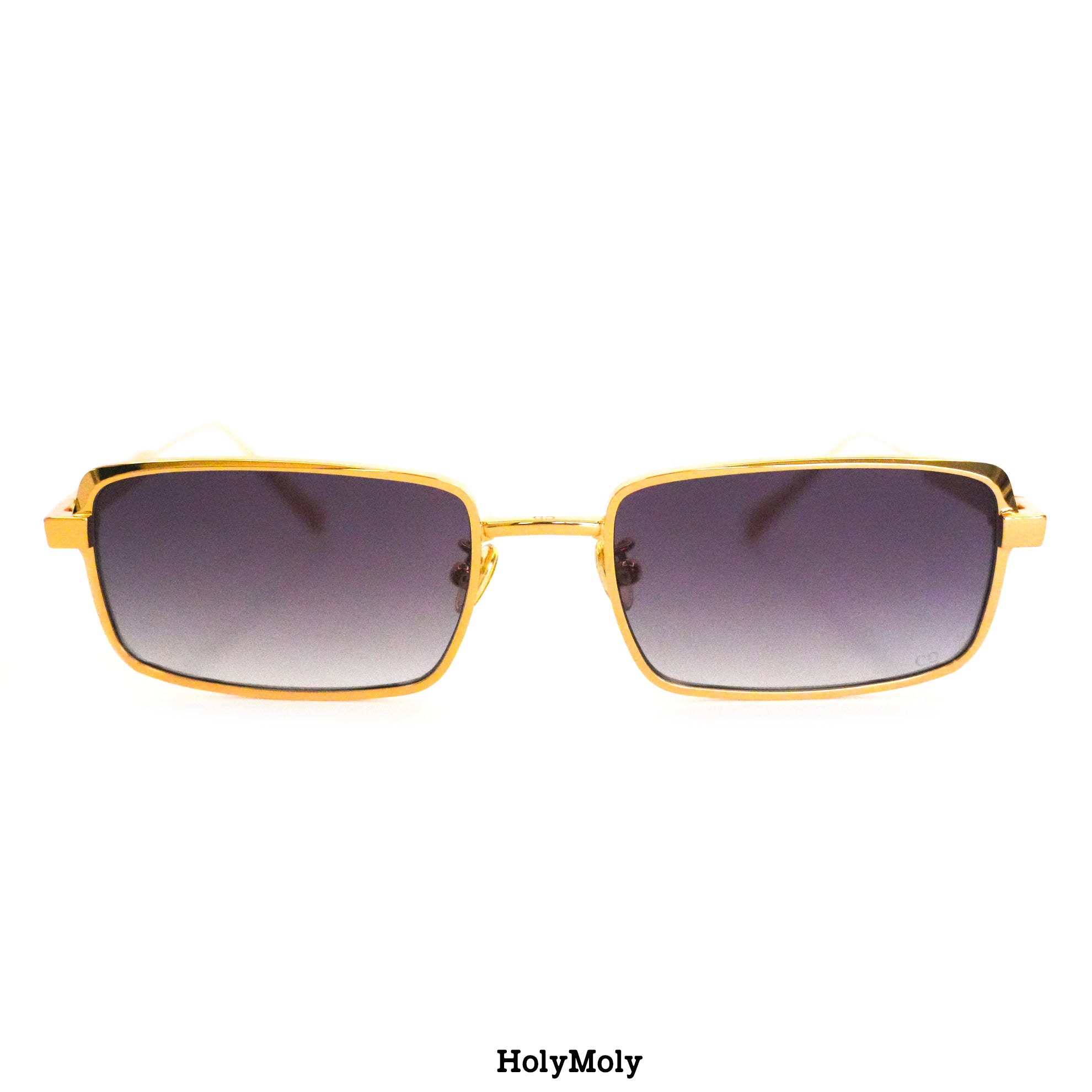 Dior Cannes S2U Sunglasses