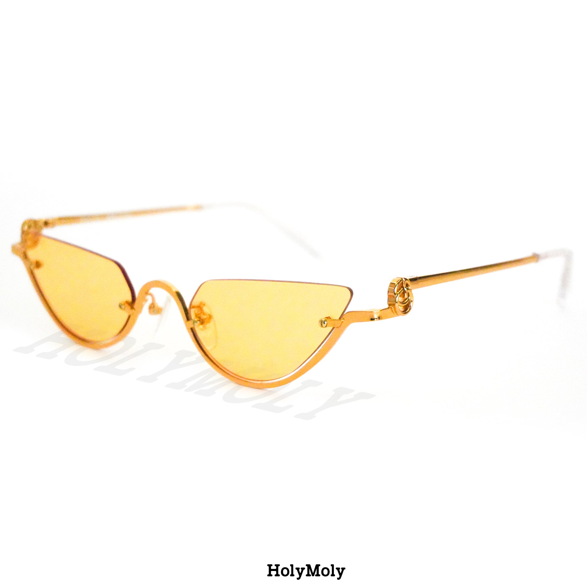 Gucci GG1603S Sunglasses