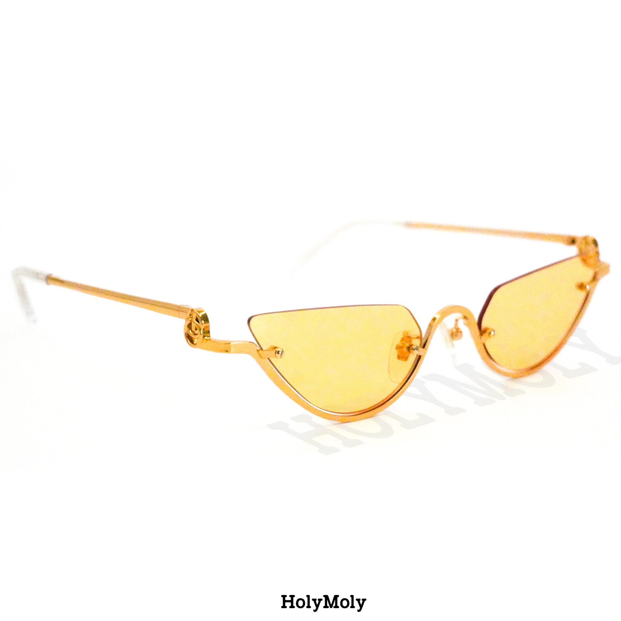 Gucci GG1603S Sunglasses