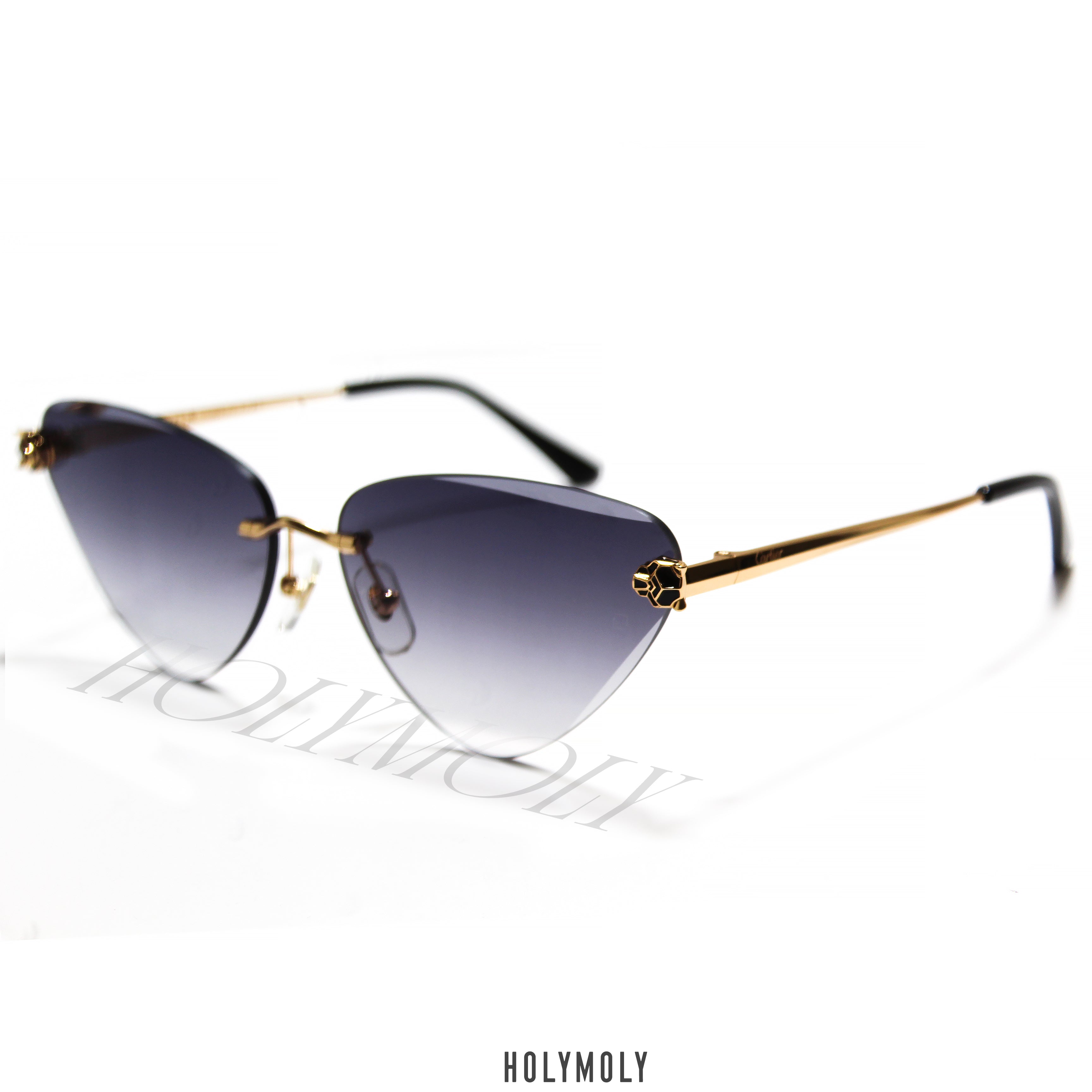 Cartier CT0399S
