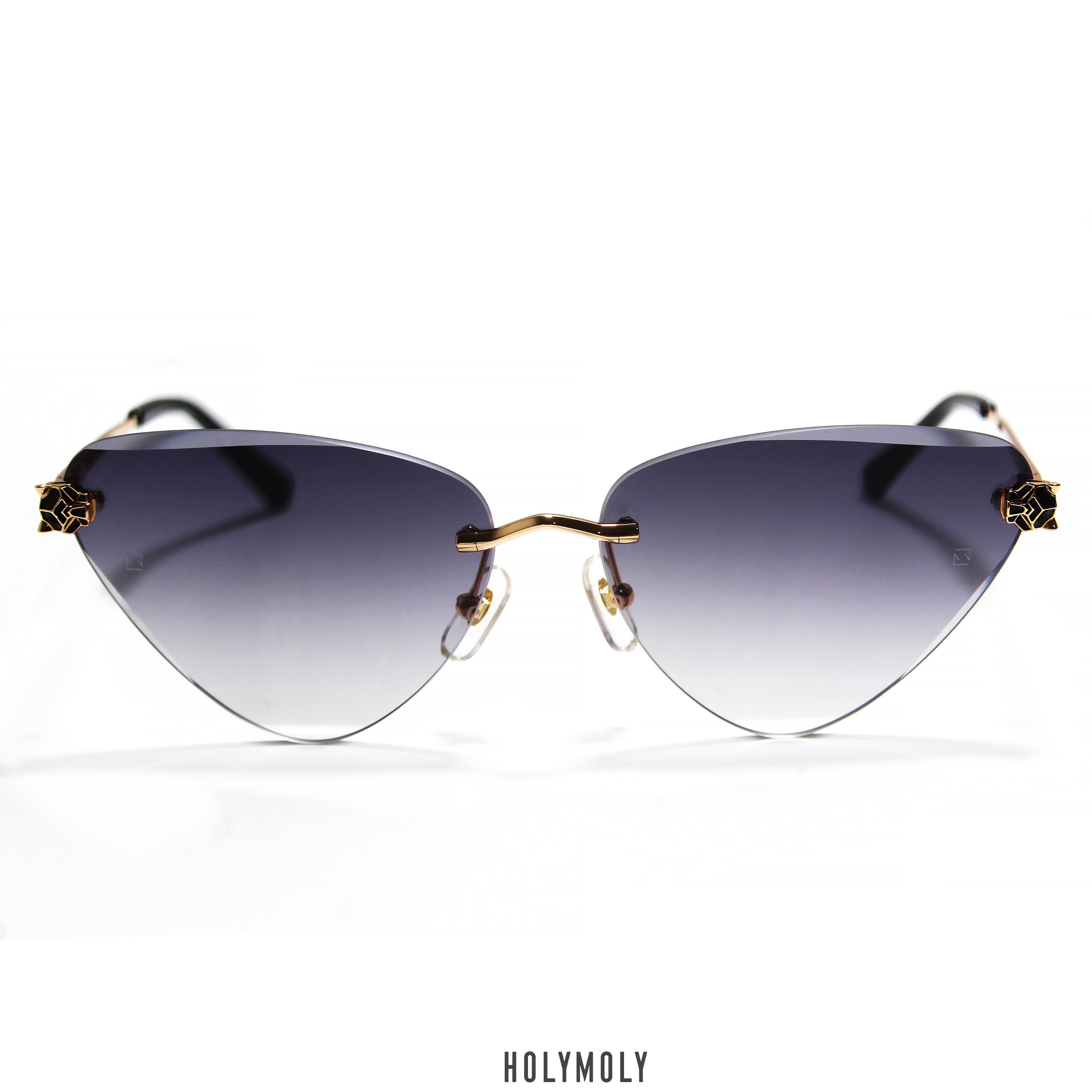Cartier CT0399S