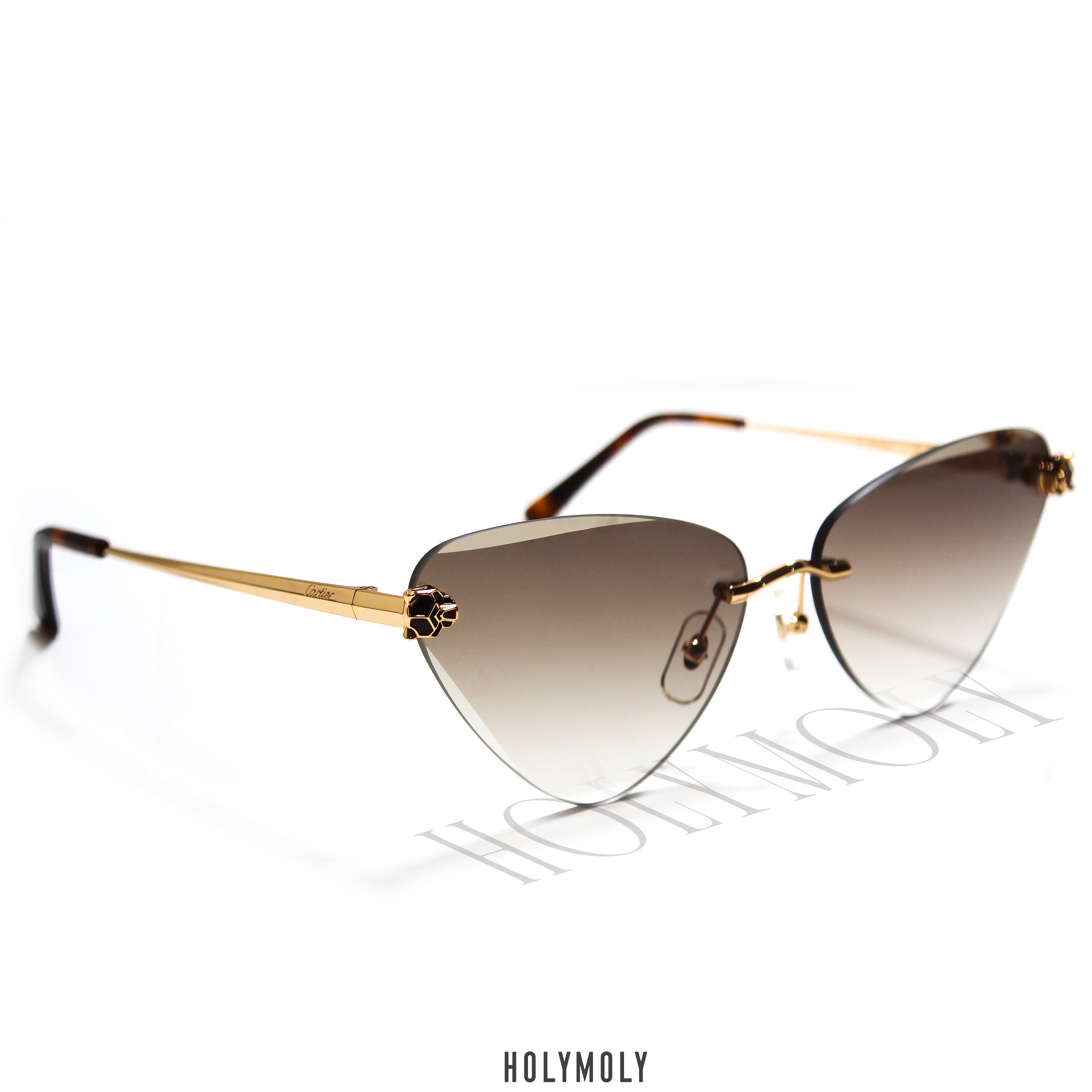 Cartier CT0399S