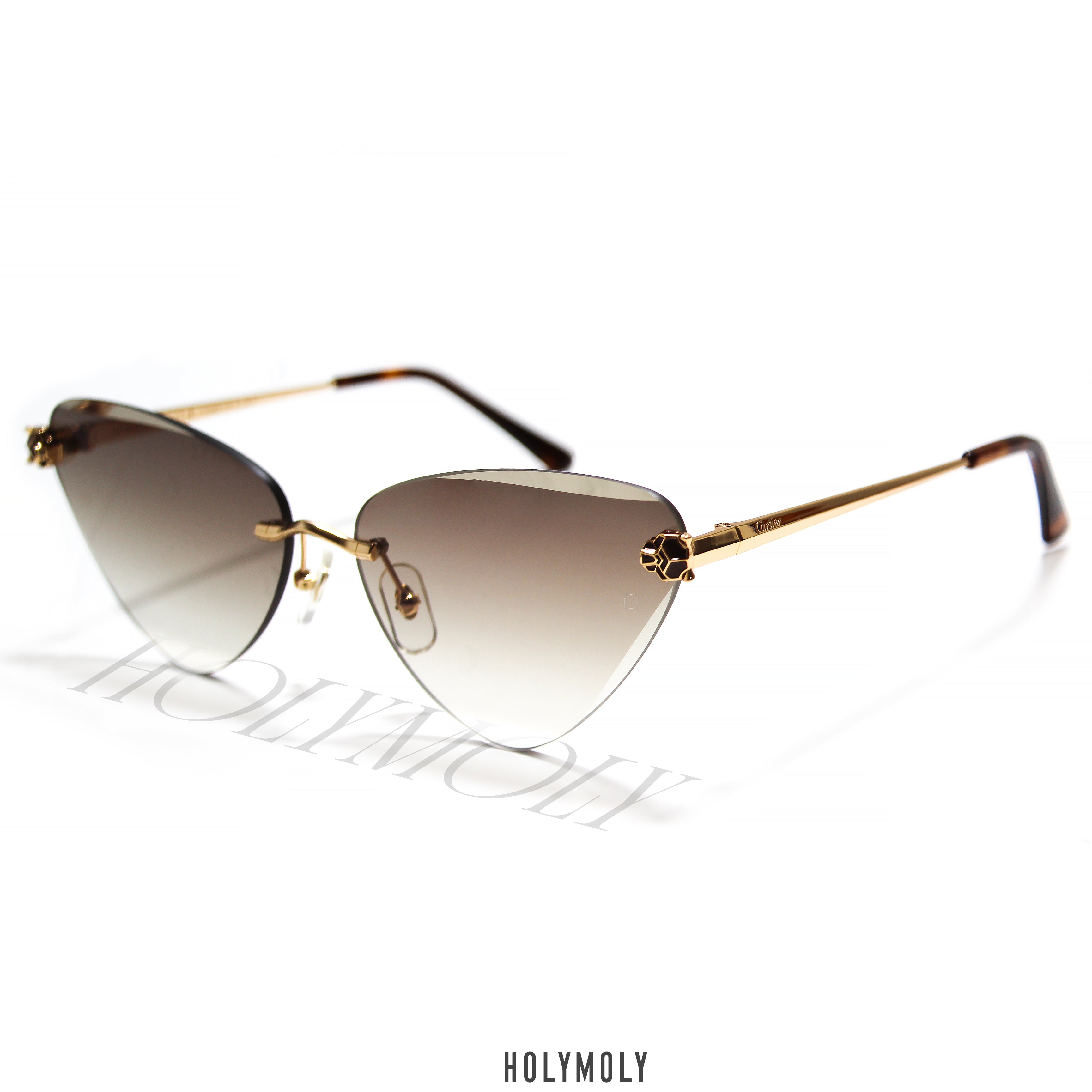 Cartier CT0399S