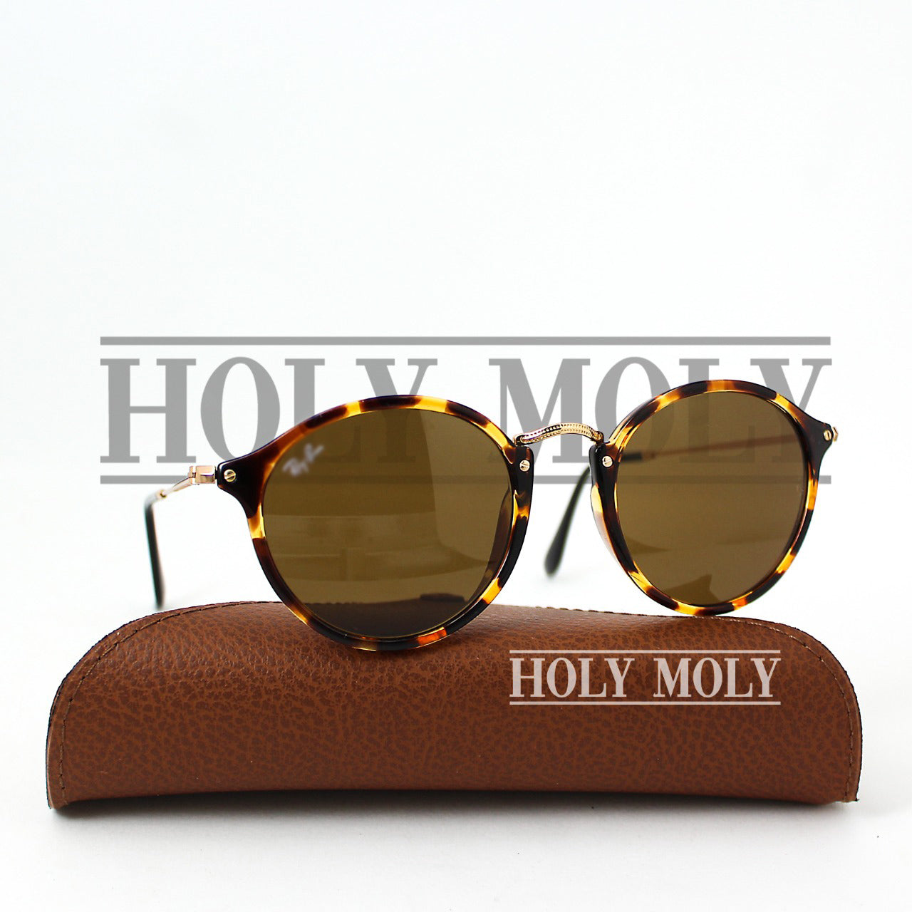 RB2447 Round Fleck Sunglasses