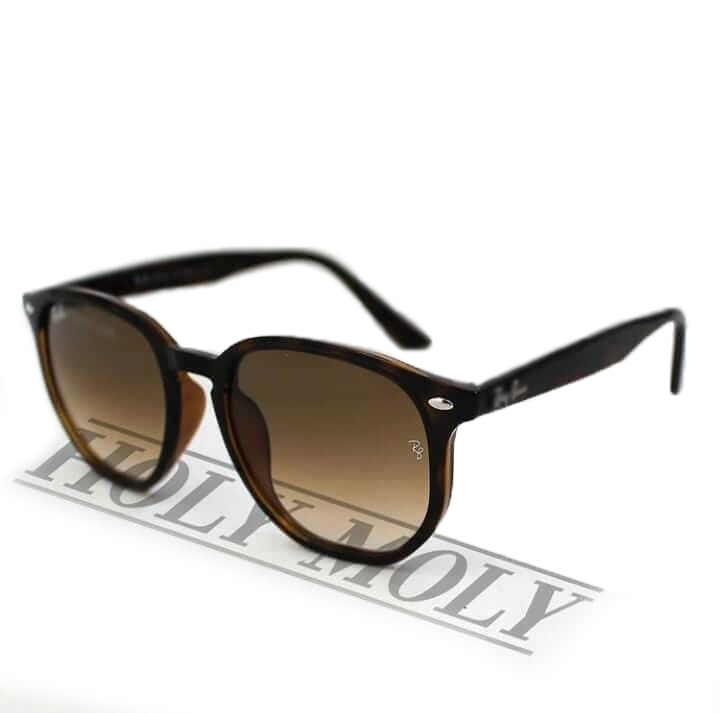 RB4306 Hexagonal Acetate Sunglasses