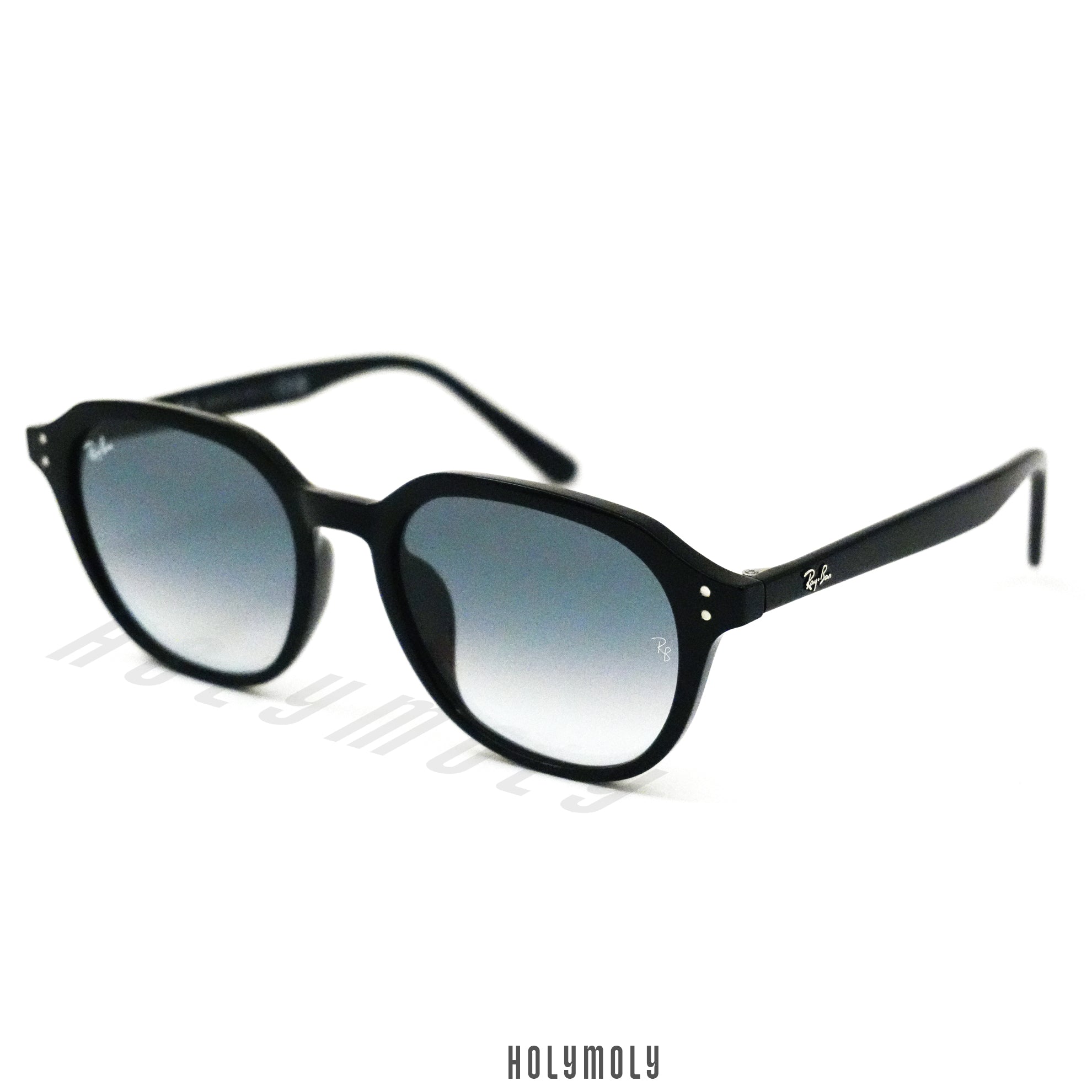 Ray-Ban 4459D Sunglasses