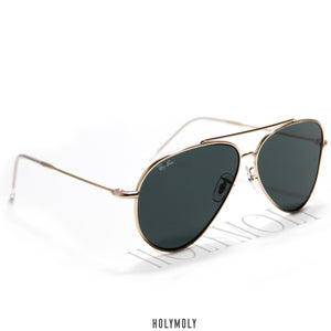 RBR0101S Aviator Reverse Sunglasses