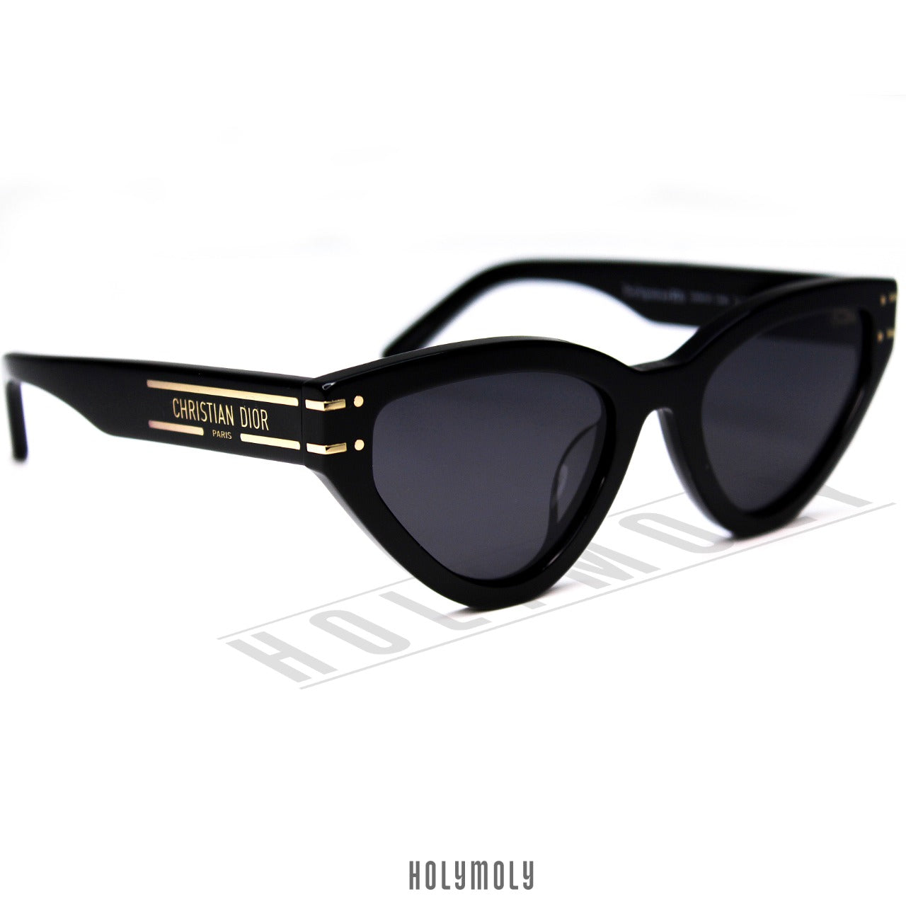 DIOR SIGNATURE B2U