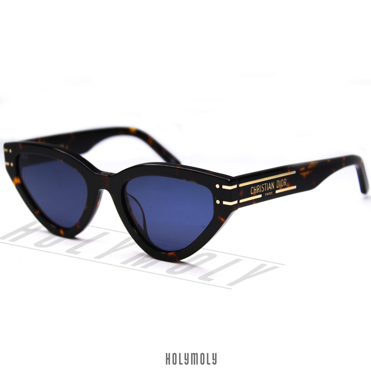 DIOR SIGNATURE B2U