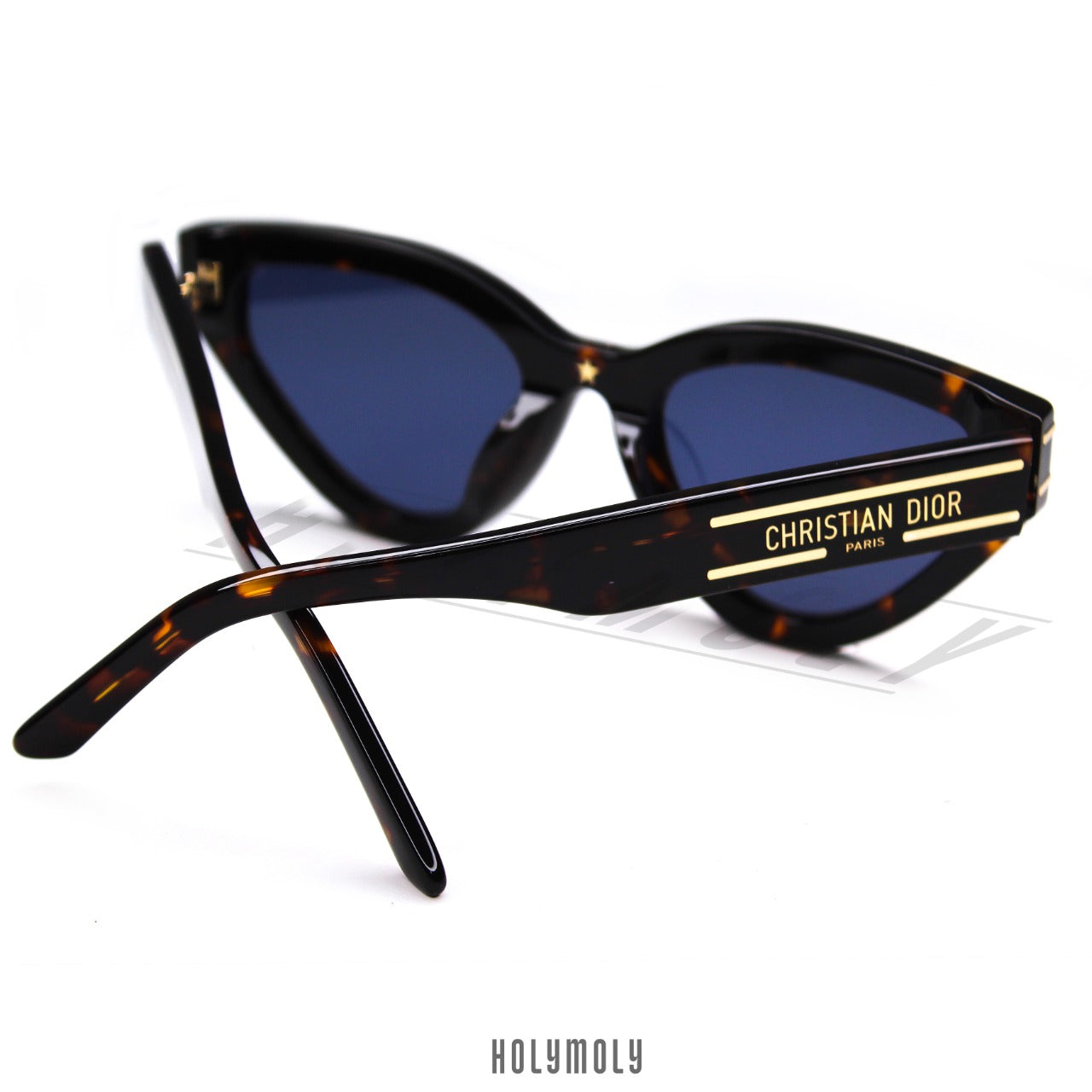 DIOR SIGNATURE B2U