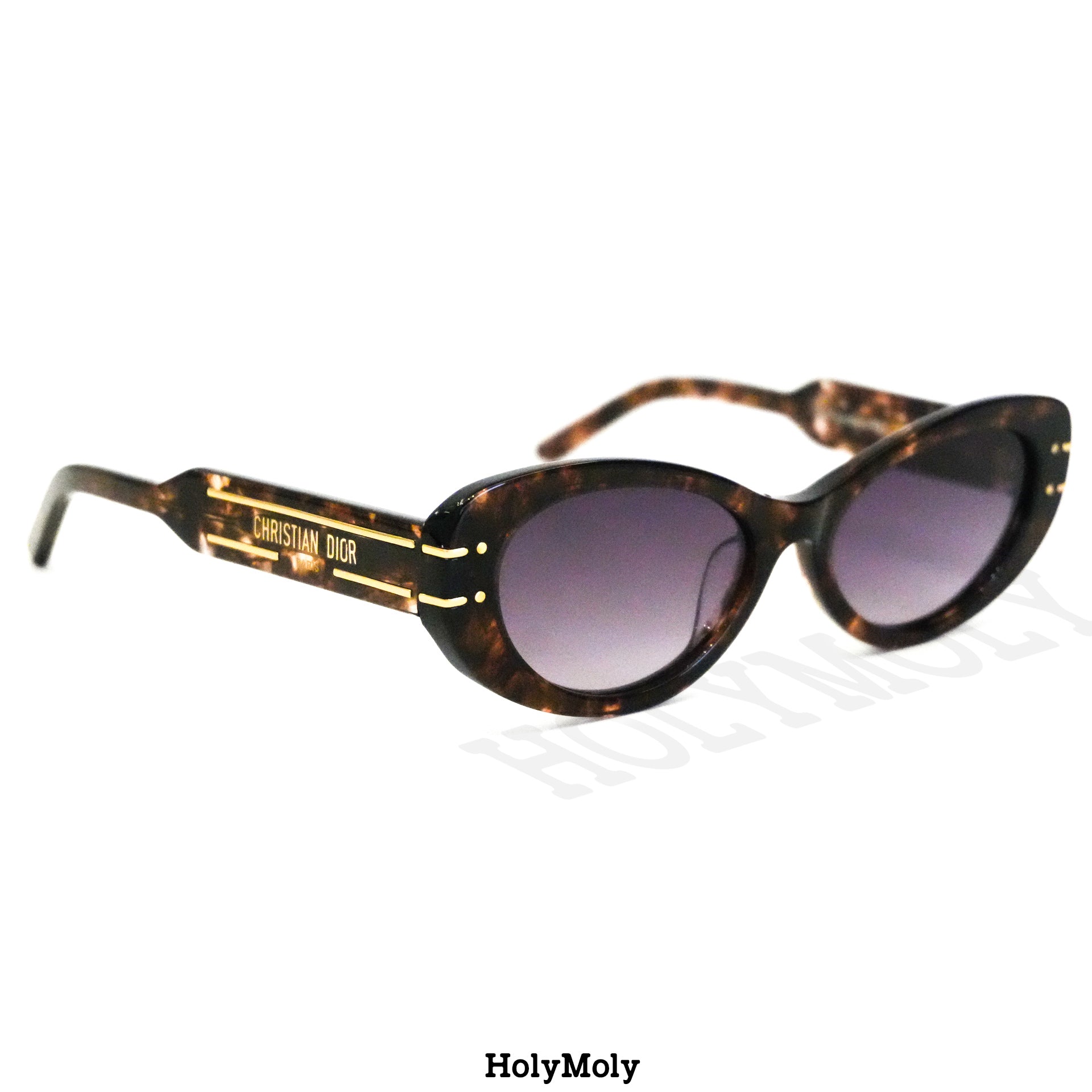 Dior Signature B8U Sunglasses || HolyMoly