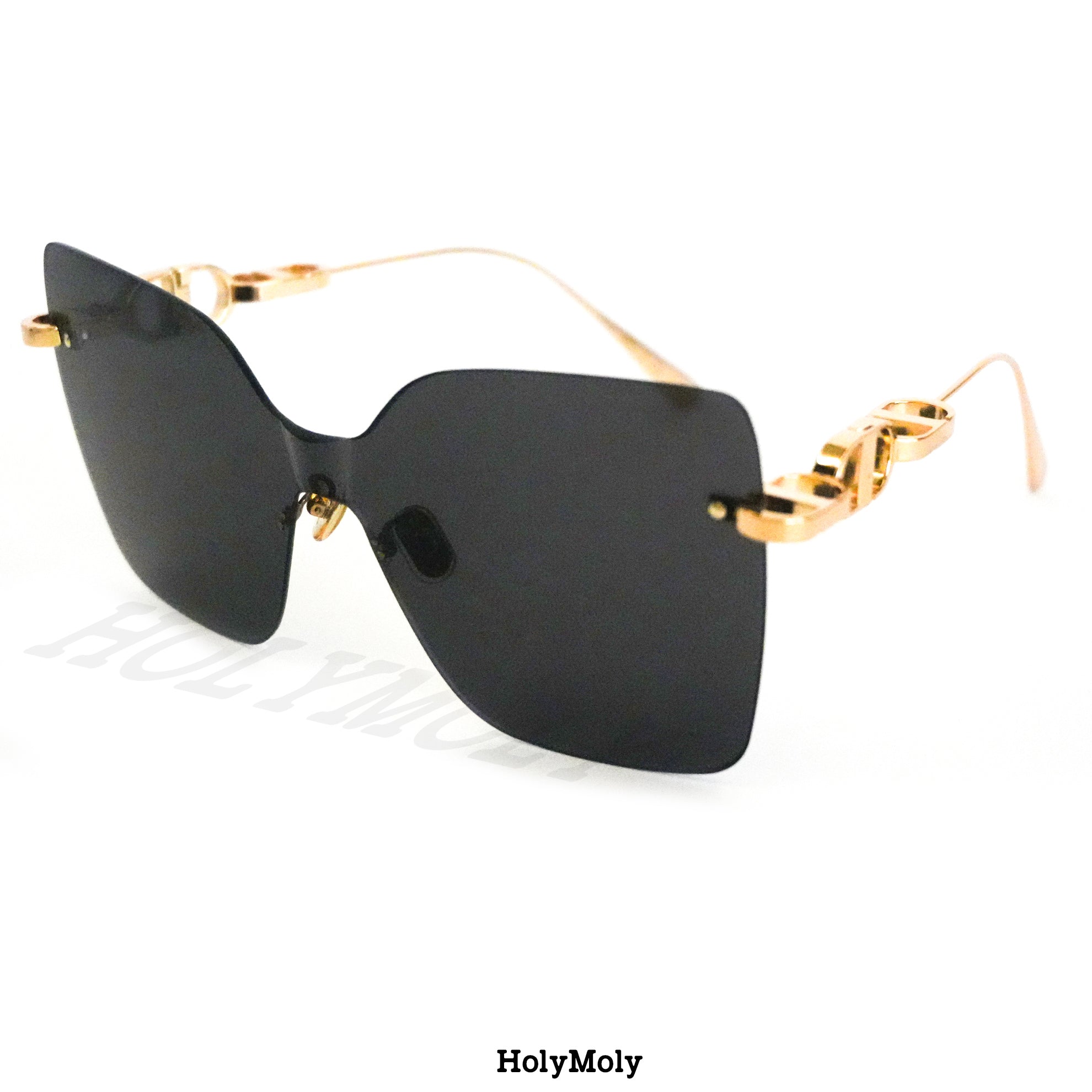 Dior CD Chain M1U Sunglasses