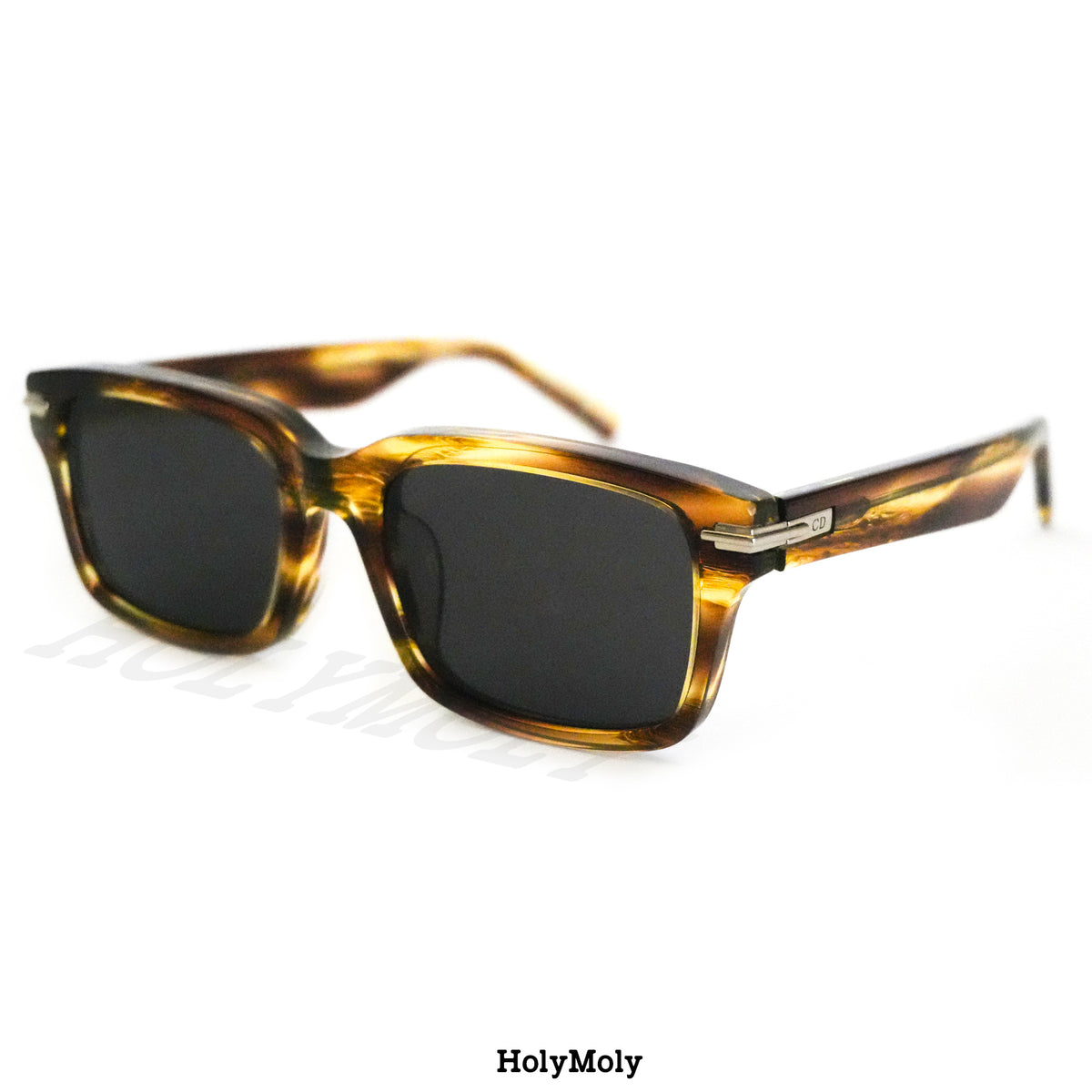 DiorBlackSuit S16F Sunglasses