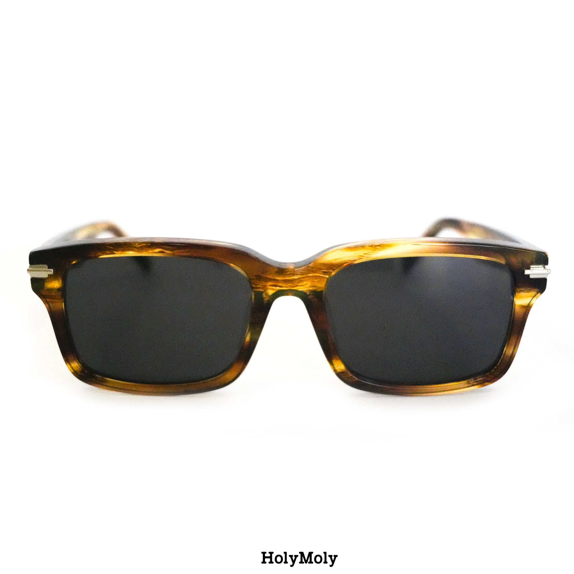 DiorBlackSuit S16F Sunglasses || HolyMoly