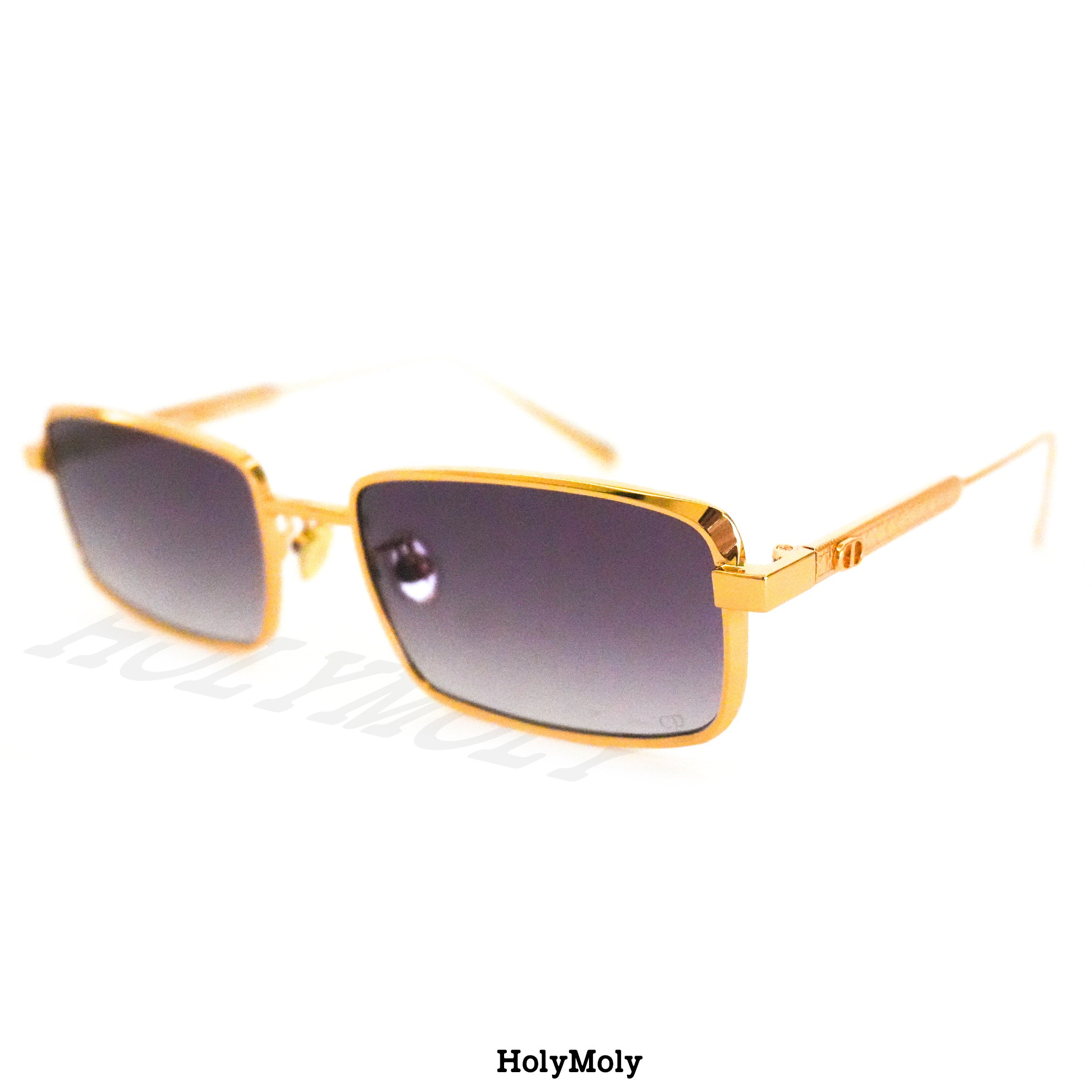 Dior Cannes S2U Sunglasses