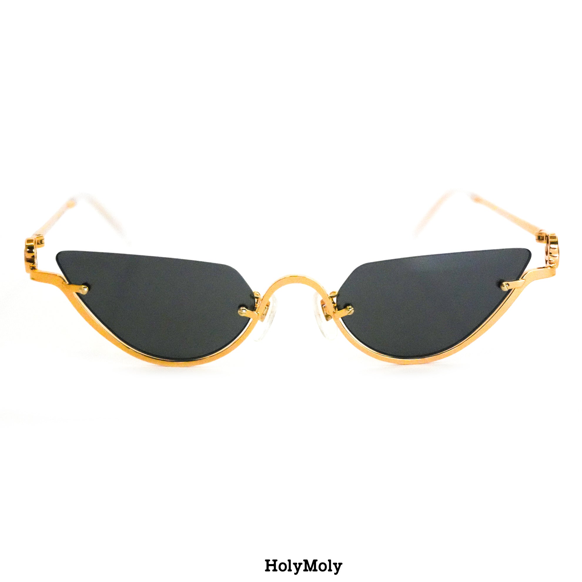 Gucci GG1603S Sunglasses