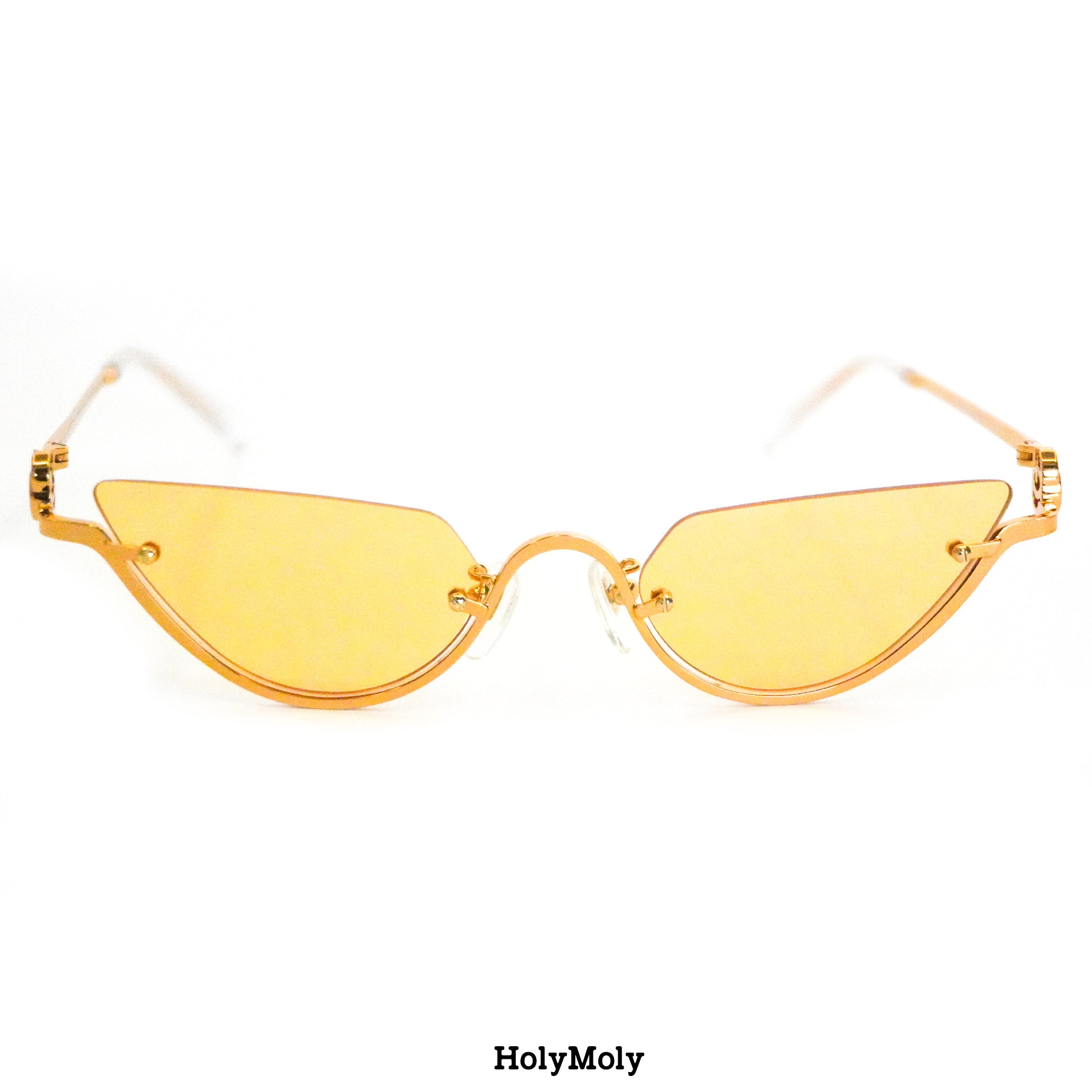 Gucci GG1603S Sunglasses || HolyMoly
