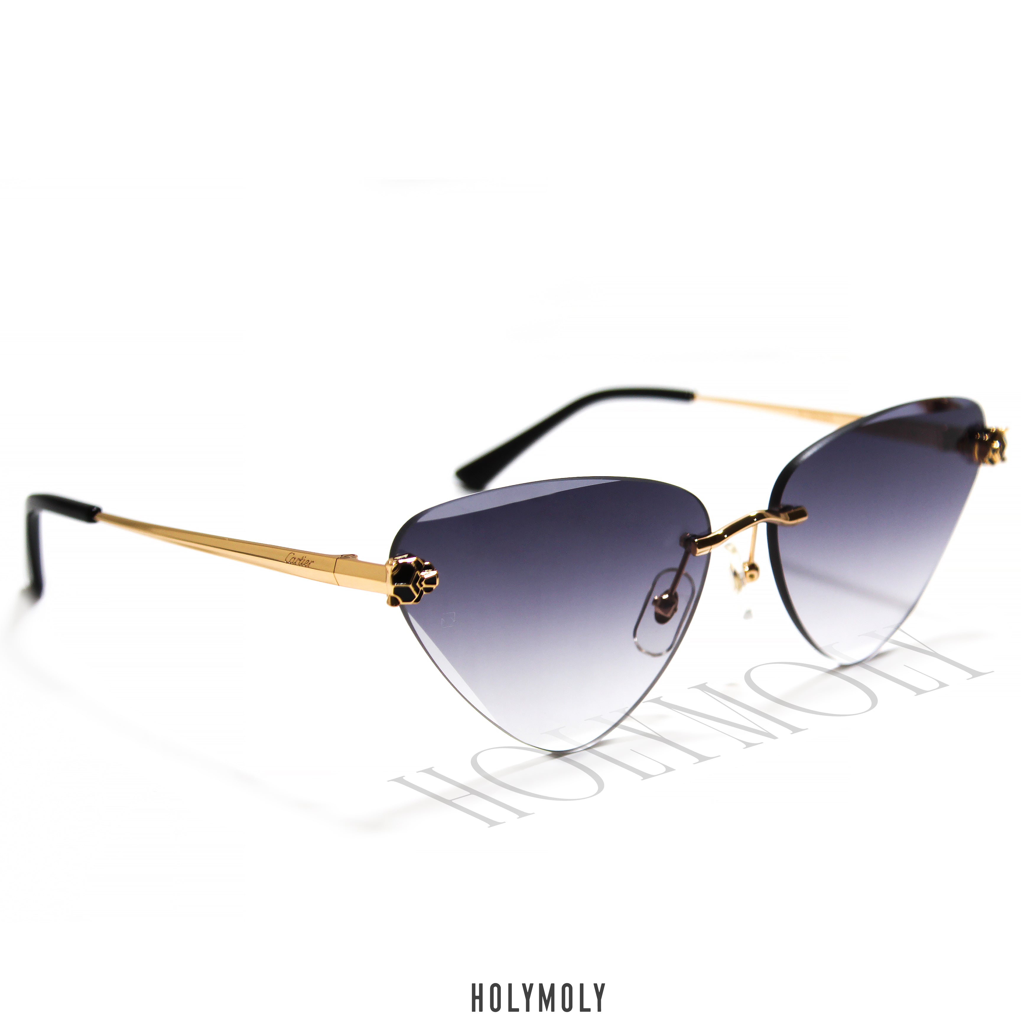 Cartier CT0399S || HolyMoly