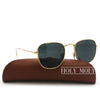 RB3857 Frank Legend Sunglasses