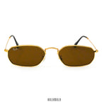RayBan 3947 Sunglasses
