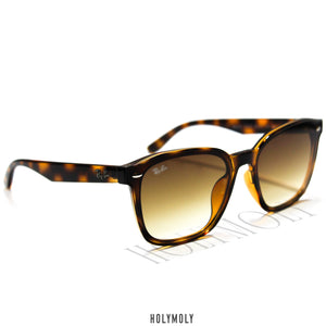 RayBan 4392D Sunglasses