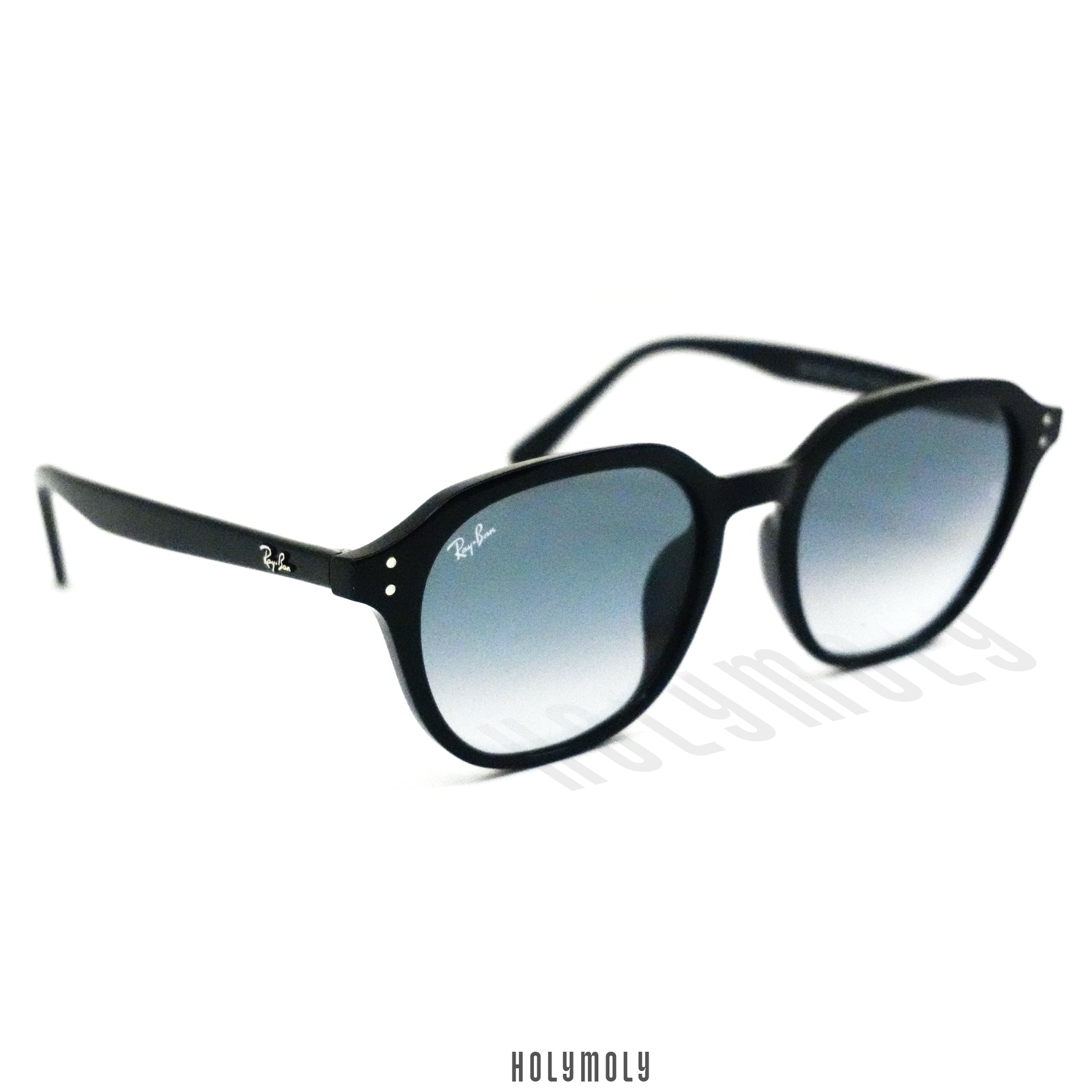 RayBan 4459D Sunglasses