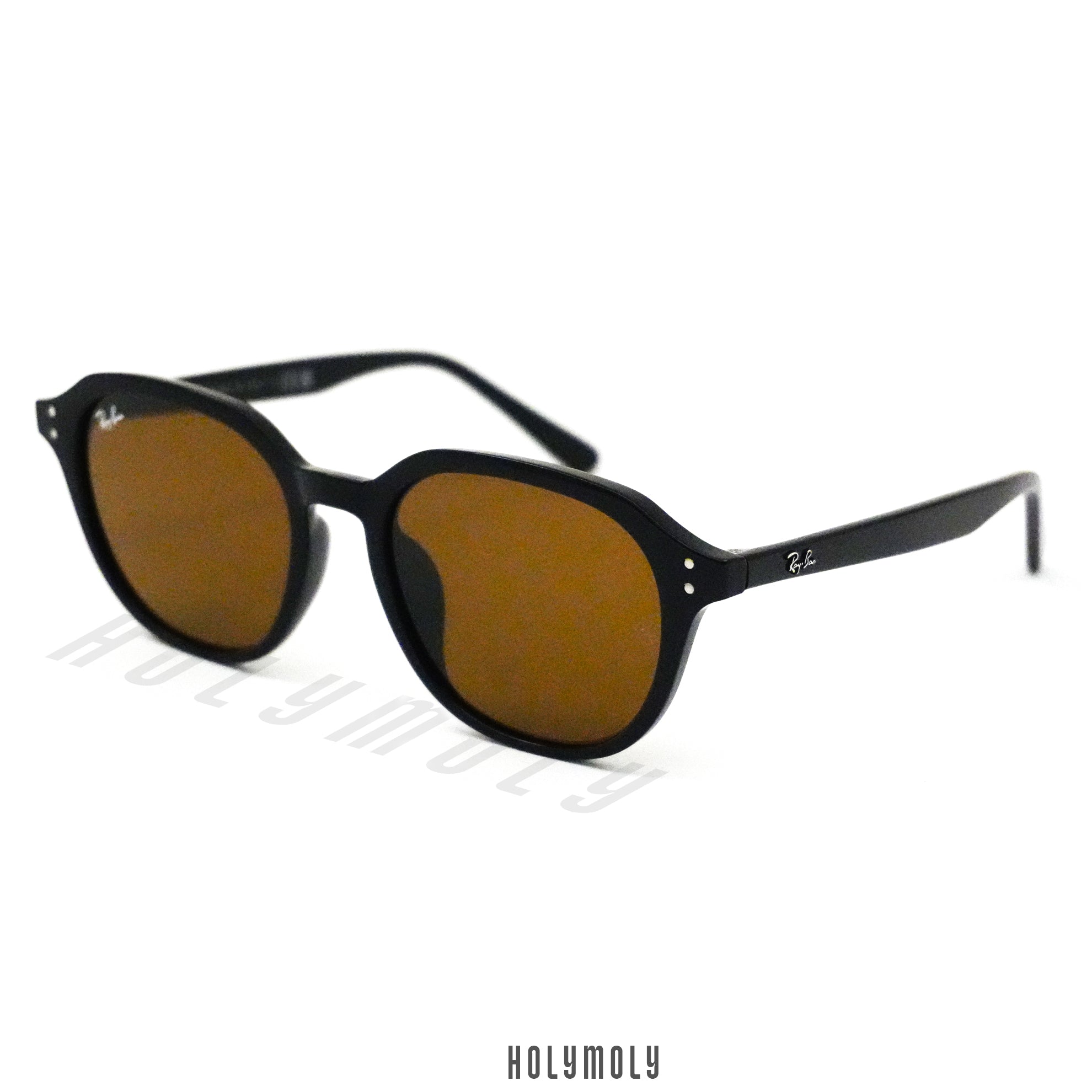 RayBan 4459D Sunglasses