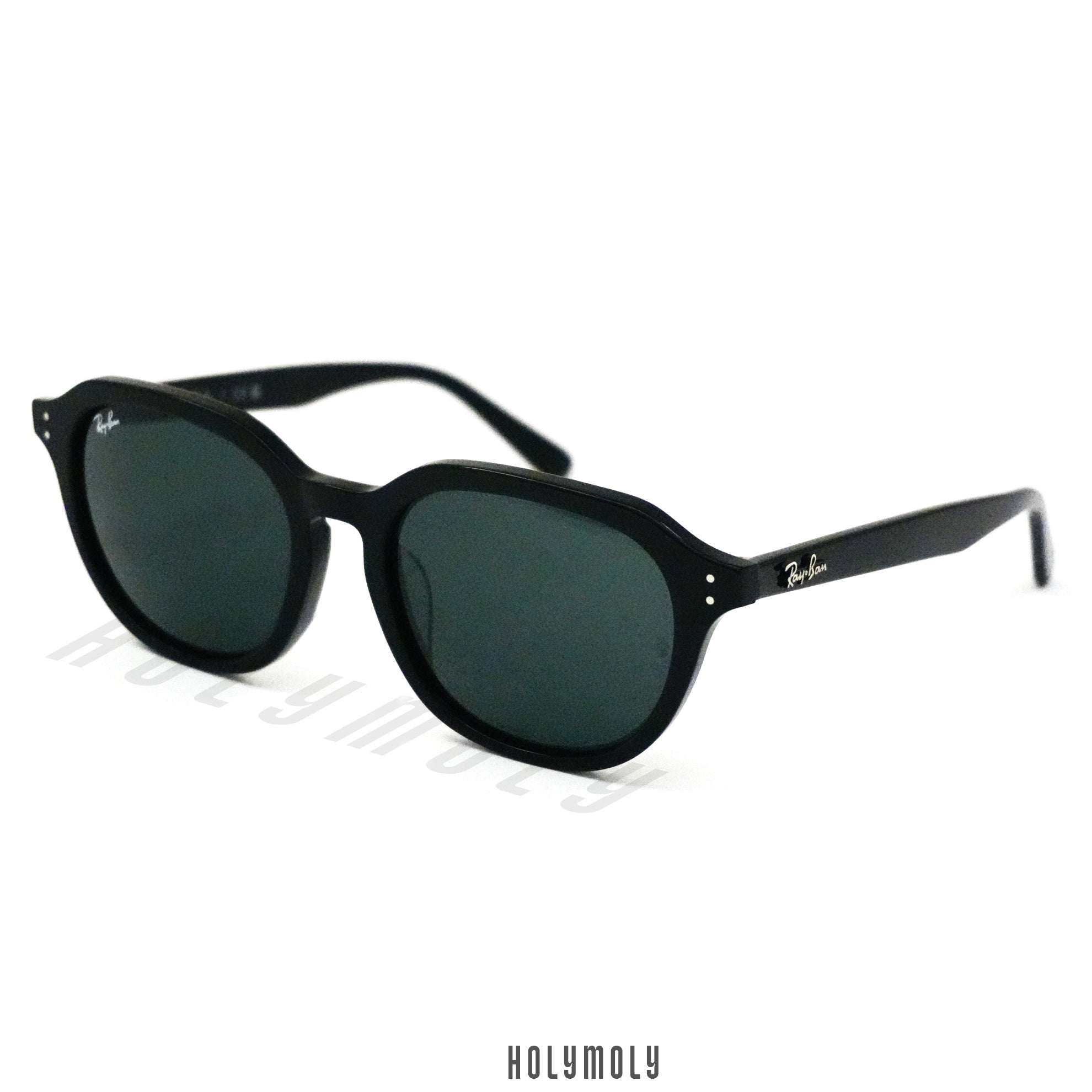 RayBan 4459D Sunglasses