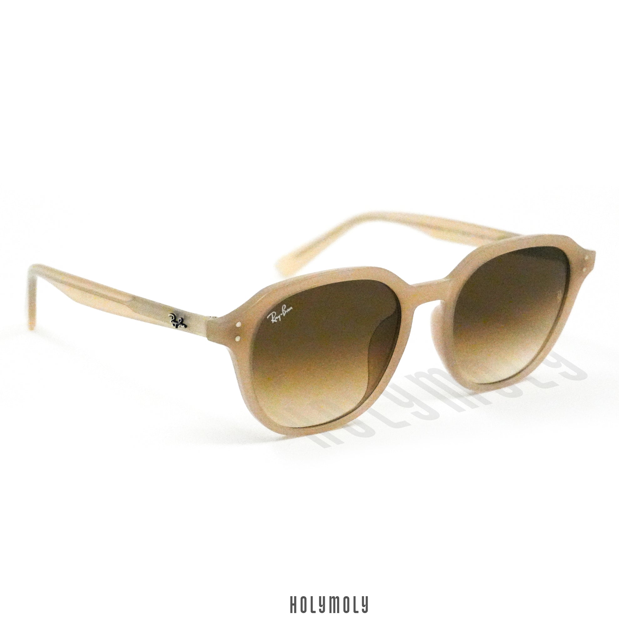 RayBan 4459D Sunglasses