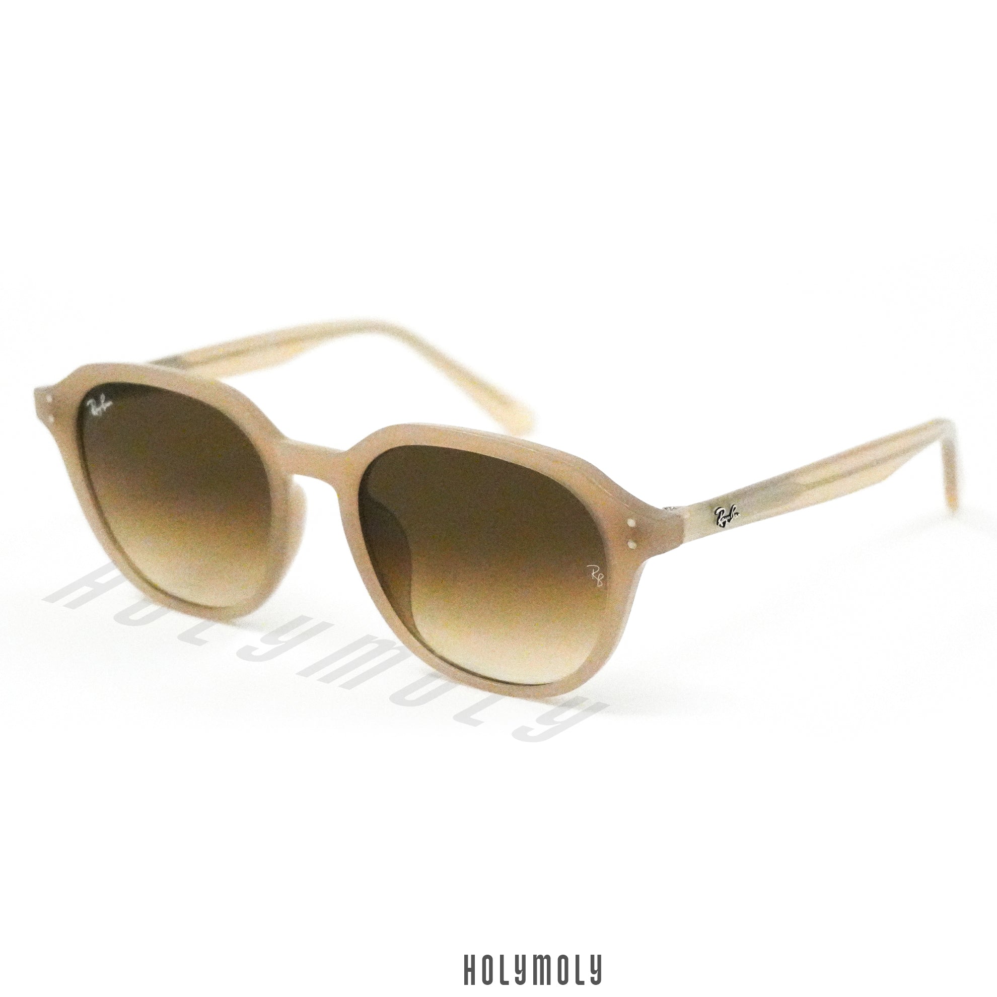 RayBan 4459D Sunglasses