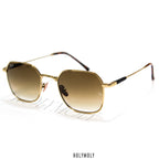 Ray-Ban 8094 Jim Titanium Sunglasses
