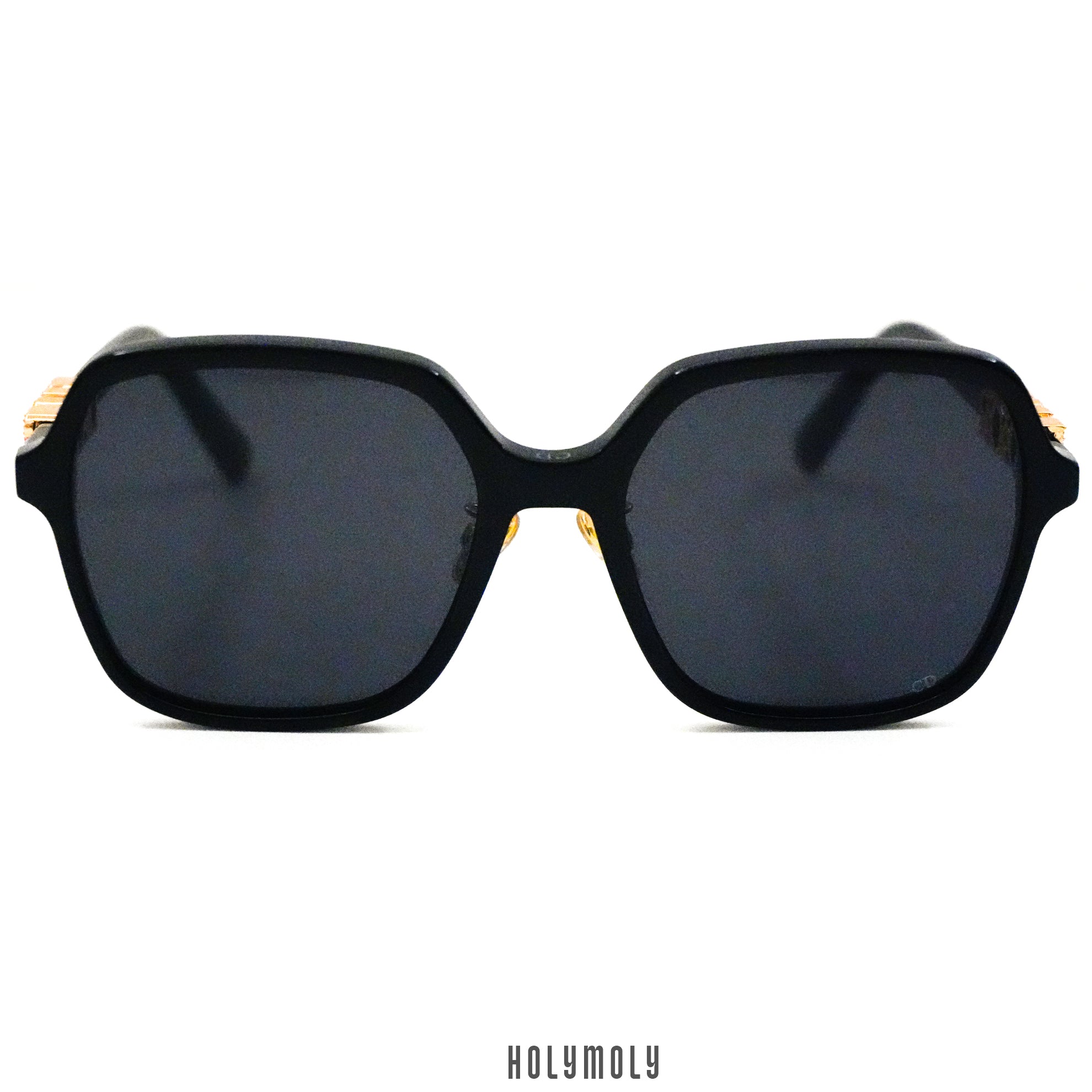 DiorTreasure S1F Sunglasses