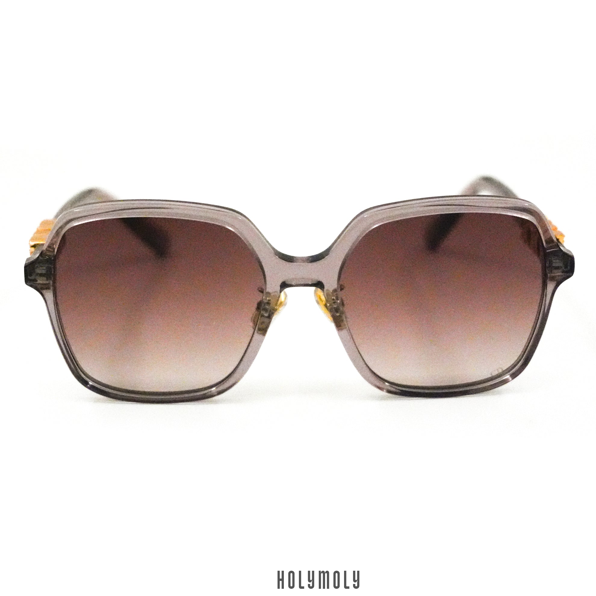 DiorTreasure S1F Sunglasses