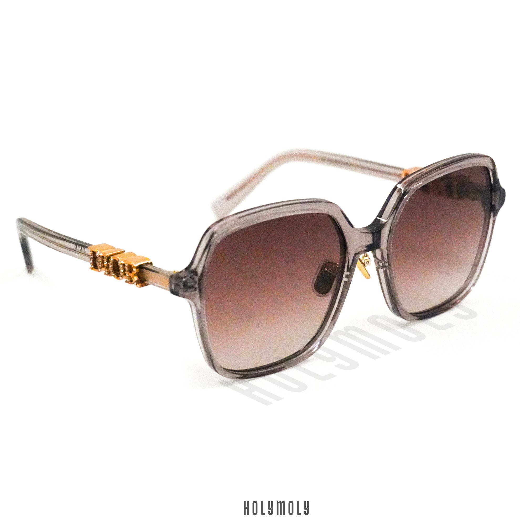 DiorTreasure S1F Sunglasses